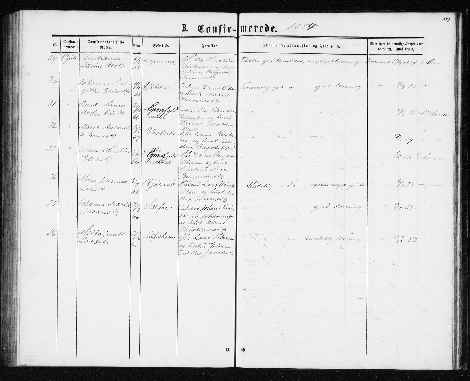 Ministerialprotokoller, klokkerbøker og fødselsregistre - Nordland, AV/SAT-A-1459/827/L0416: Parish register (copy) no. 827C05, 1865-1886, p. 107