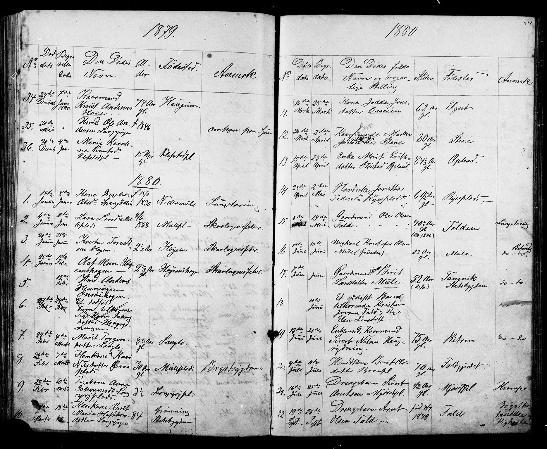 Ministerialprotokoller, klokkerbøker og fødselsregistre - Sør-Trøndelag, SAT/A-1456/612/L0387: Parish register (copy) no. 612C03, 1874-1908, p. 217