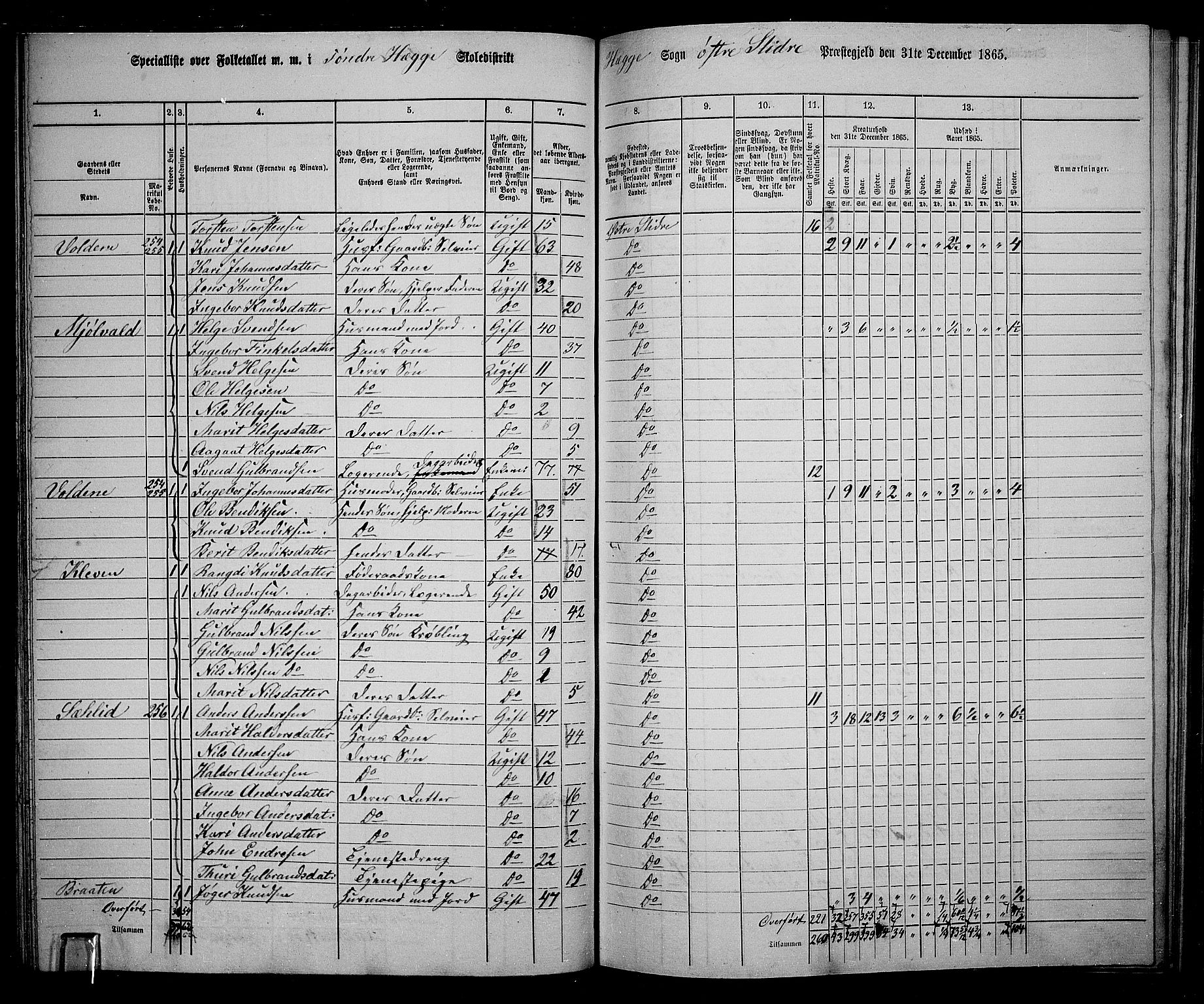 RA, 1865 census for Øystre Slidre, 1865, p. 54