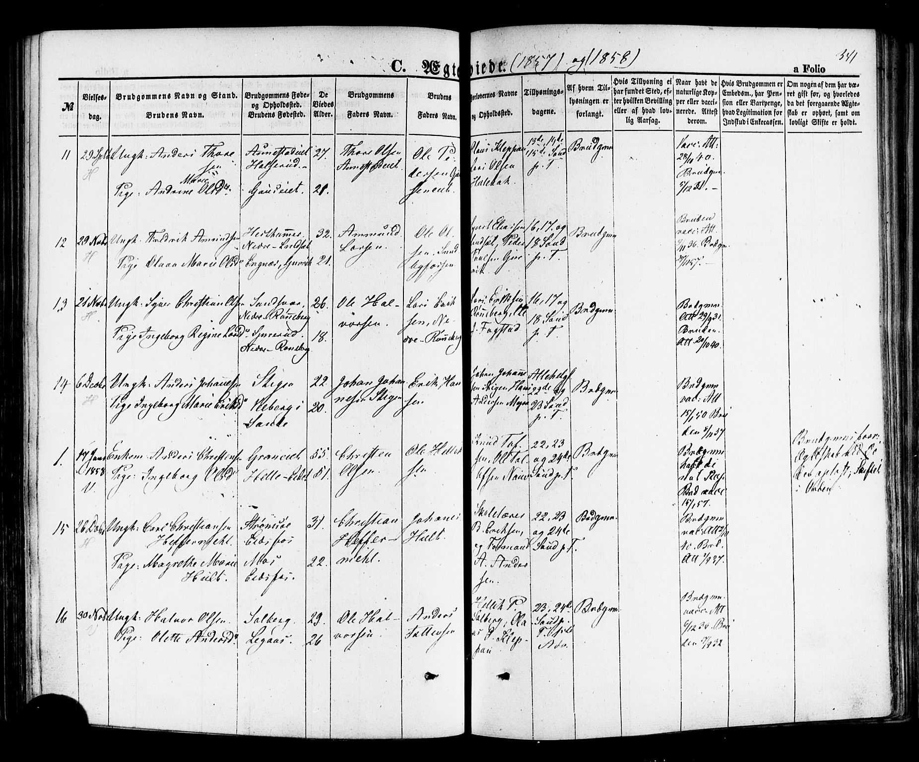 Hof kirkebøker, AV/SAKO-A-64/F/Fa/L0006: Parish register (official) no. I 6, 1851-1877, p. 341