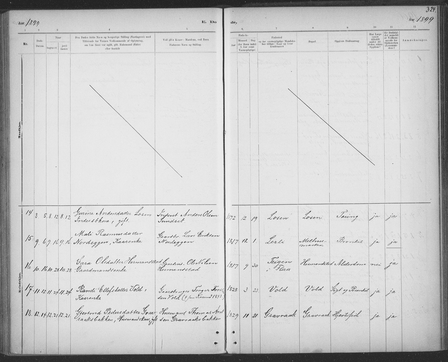 Ministerialprotokoller, klokkerbøker og fødselsregistre - Sør-Trøndelag, AV/SAT-A-1456/691/L1085: Parish register (official) no. 691A17, 1887-1908, p. 324