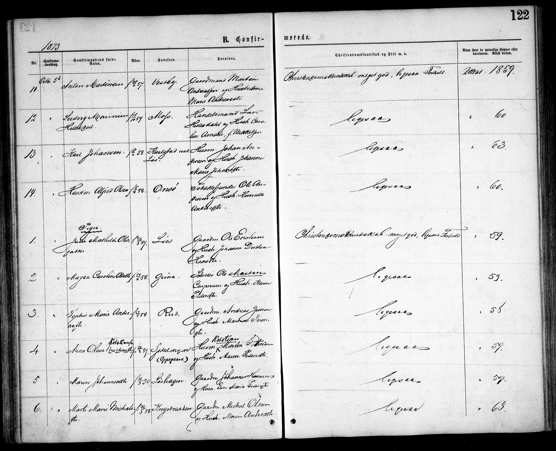 Nesodden prestekontor Kirkebøker, AV/SAO-A-10013/F/Fa/L0008: Parish register (official) no. I 8, 1869-1879, p. 122