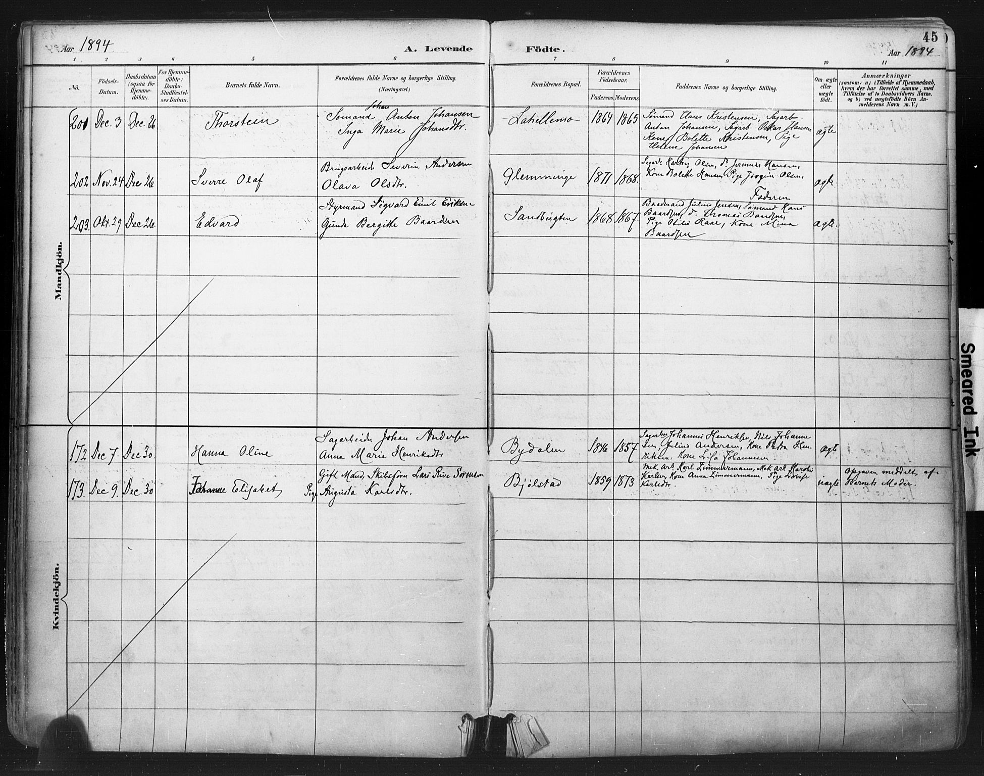 Glemmen prestekontor Kirkebøker, SAO/A-10908/F/Fa/L0013: Parish register (official) no. 13, 1892-1907, p. 45