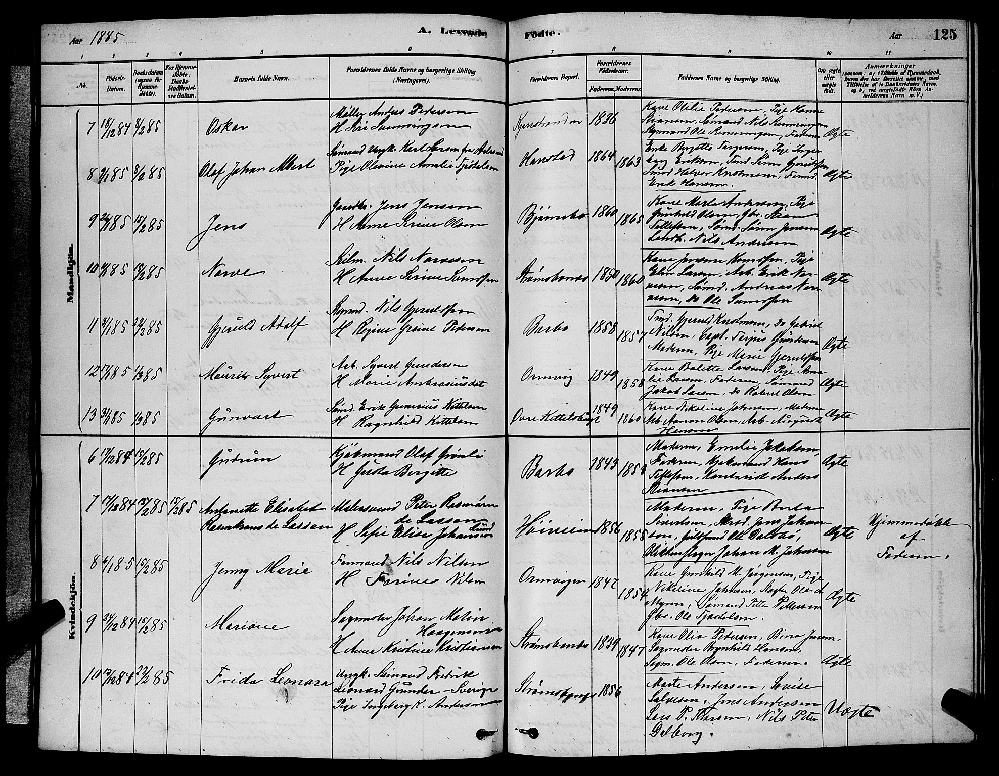 Barbu sokneprestkontor, AV/SAK-1111-0003/F/Fb/L0001: Parish register (copy) no. B 1, 1878-1890, p. 125