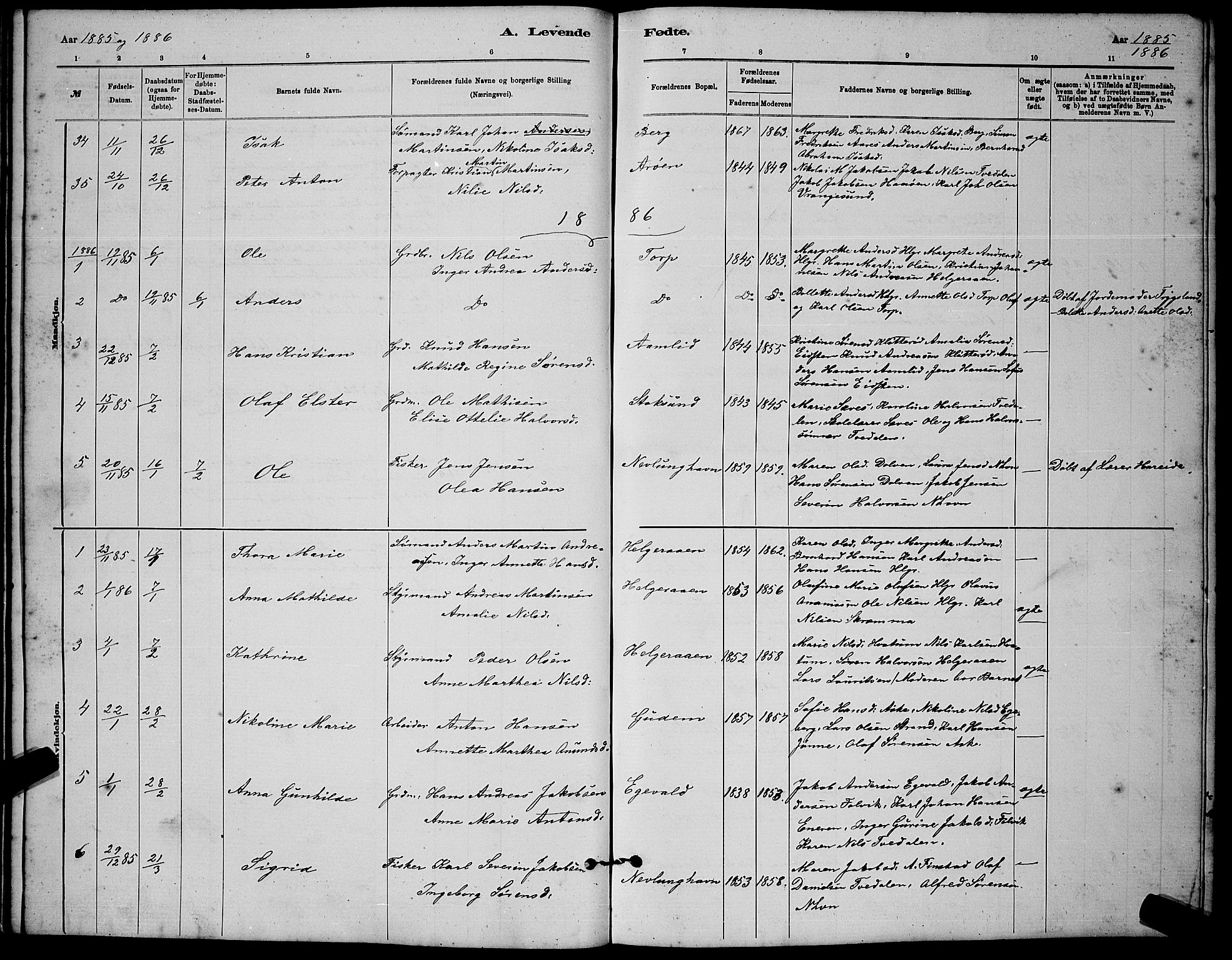 Brunlanes kirkebøker, AV/SAKO-A-342/G/Gb/L0002: Parish register (copy) no. II 2, 1878-1902