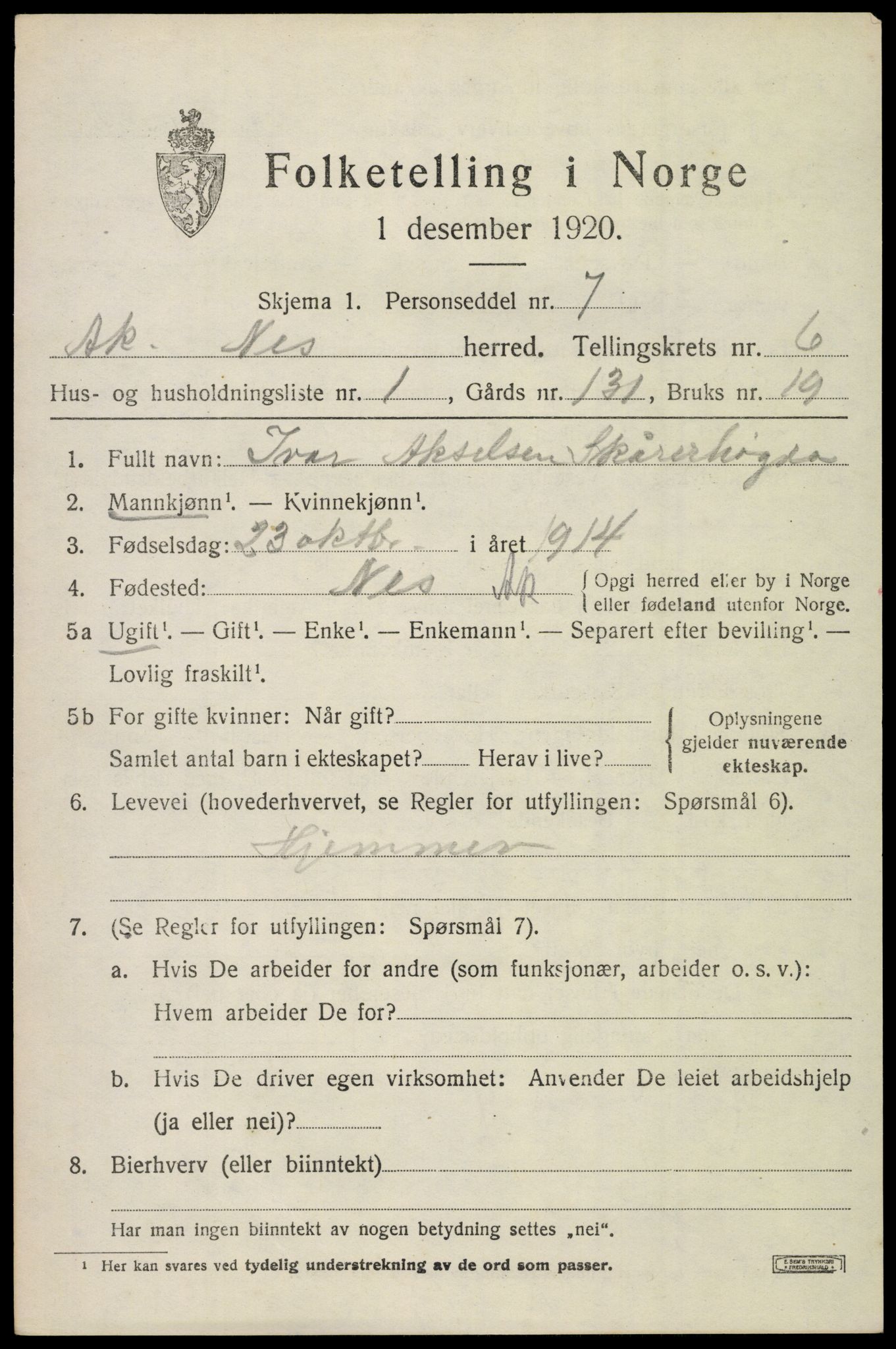 SAO, 1920 census for Nes, 1920, p. 7632