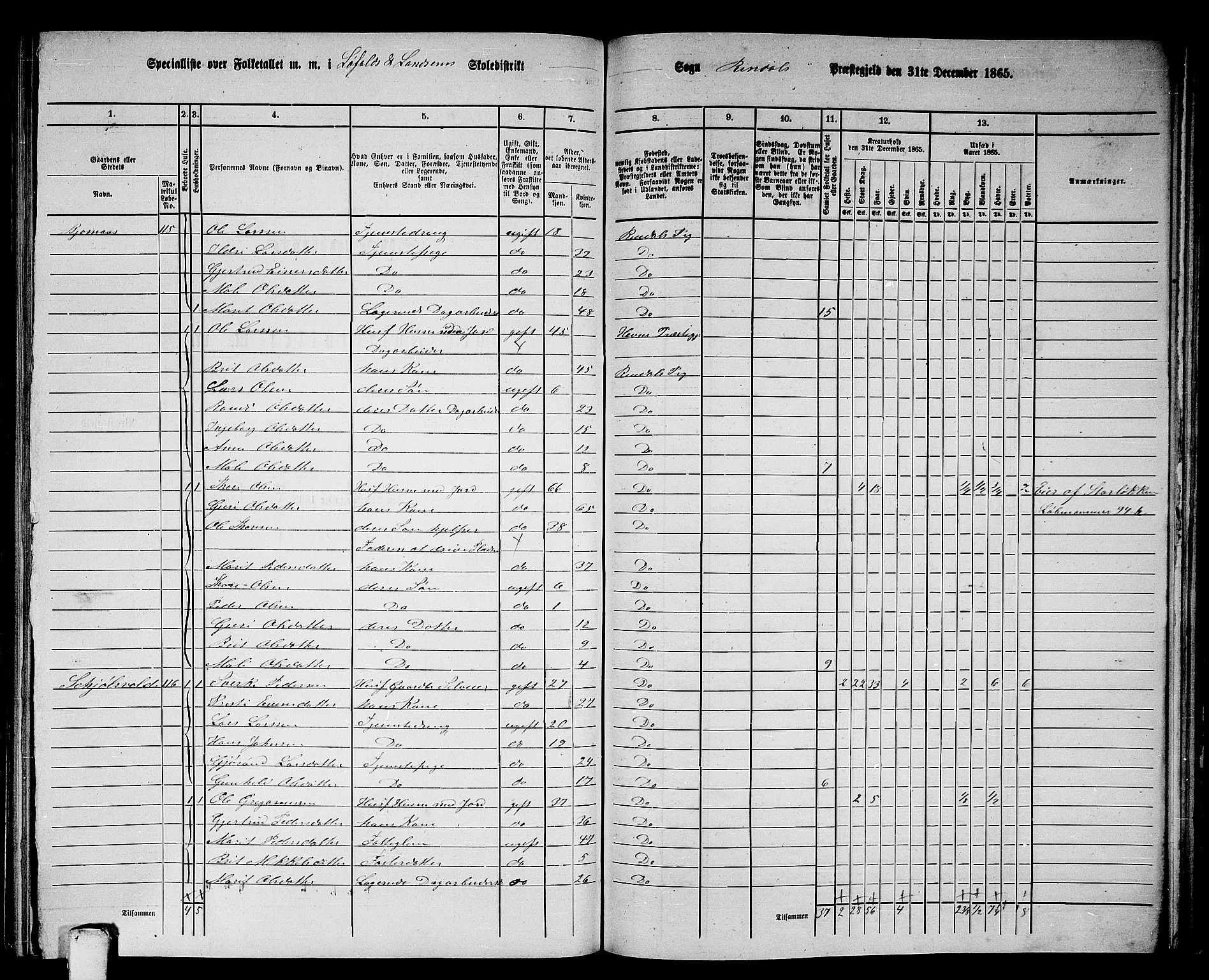 RA, 1865 census for Rindal, 1865, p. 64