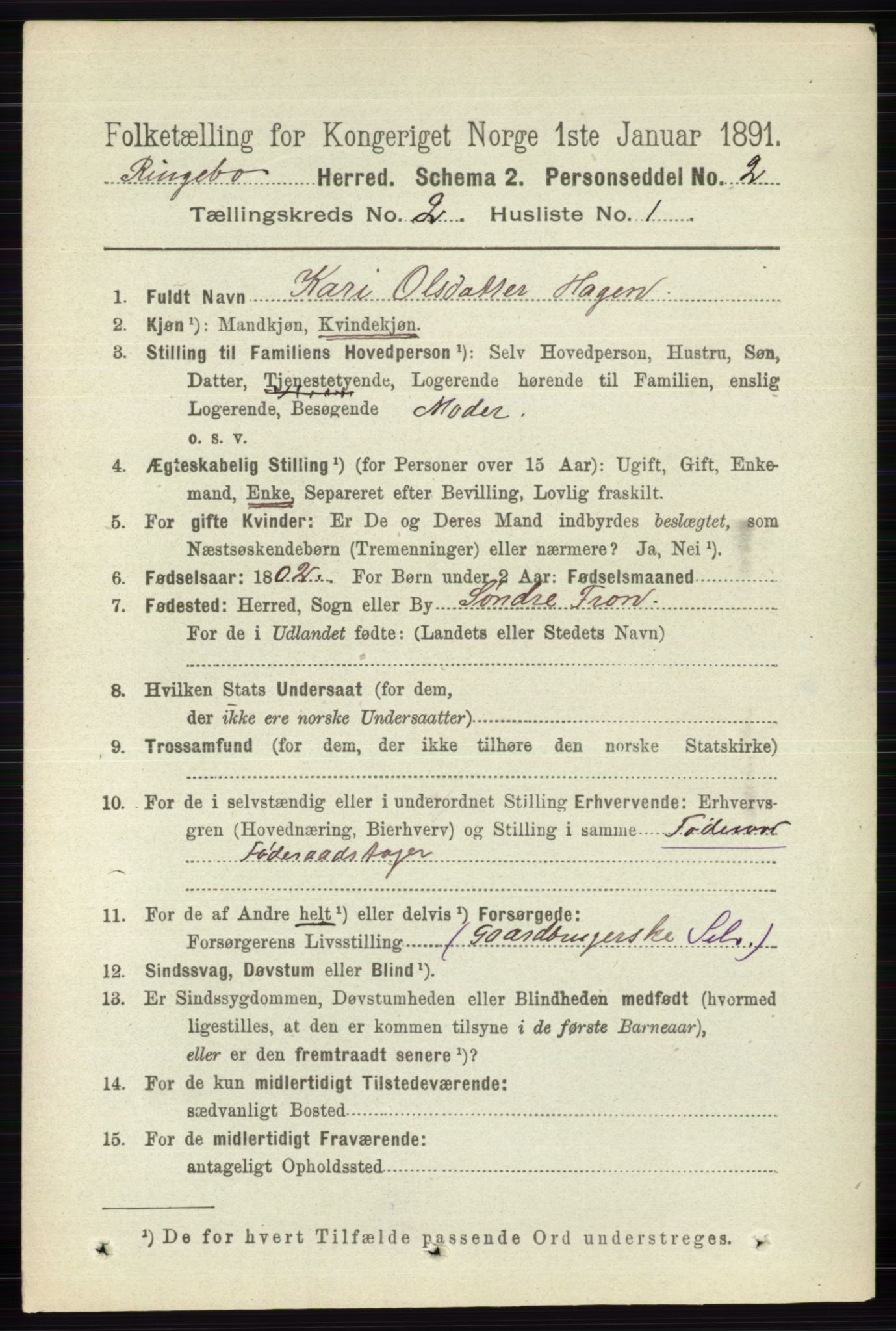 RA, 1891 census for 0520 Ringebu, 1891, p. 391