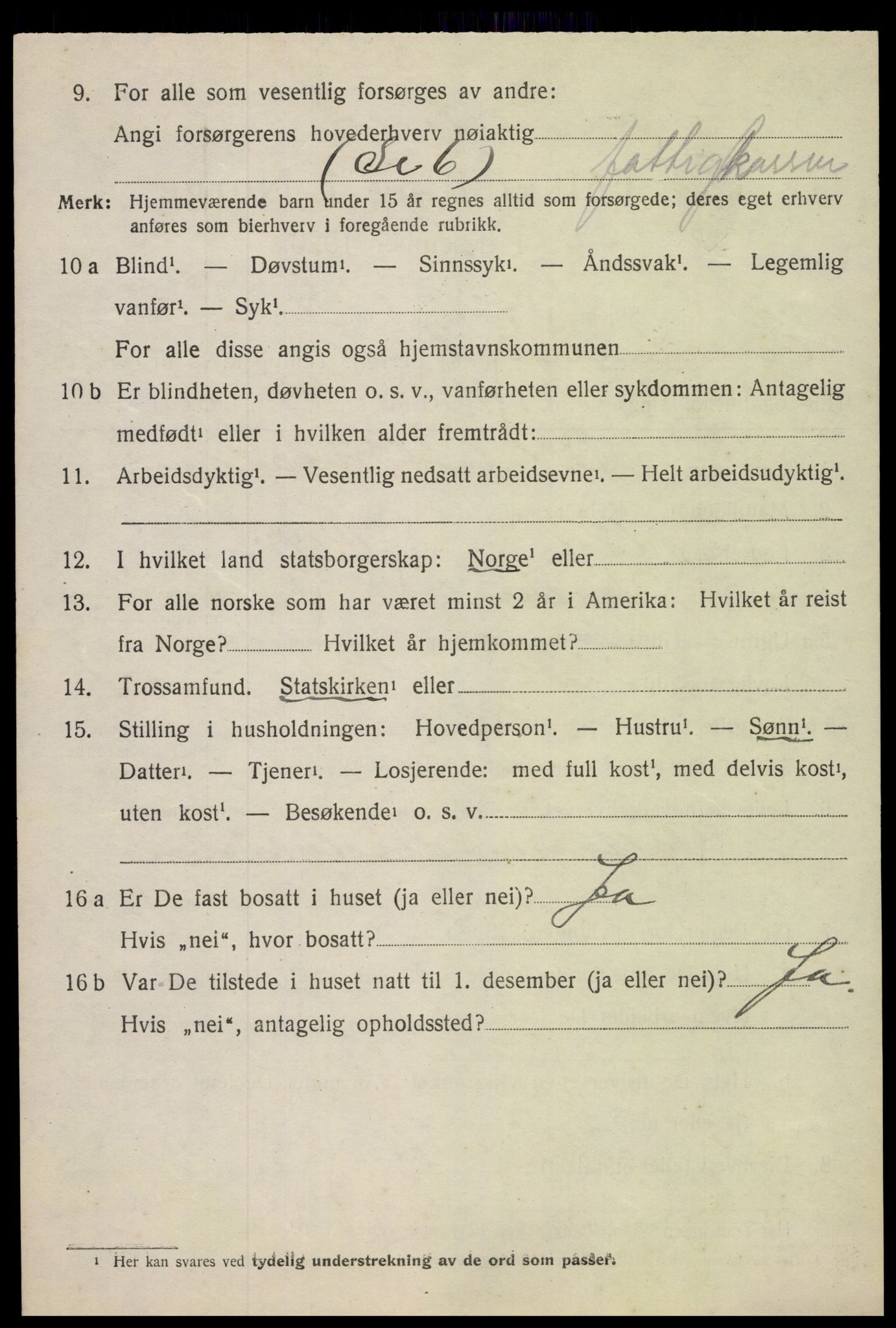 SAH, 1920 census for Snertingdal, 1920, p. 970