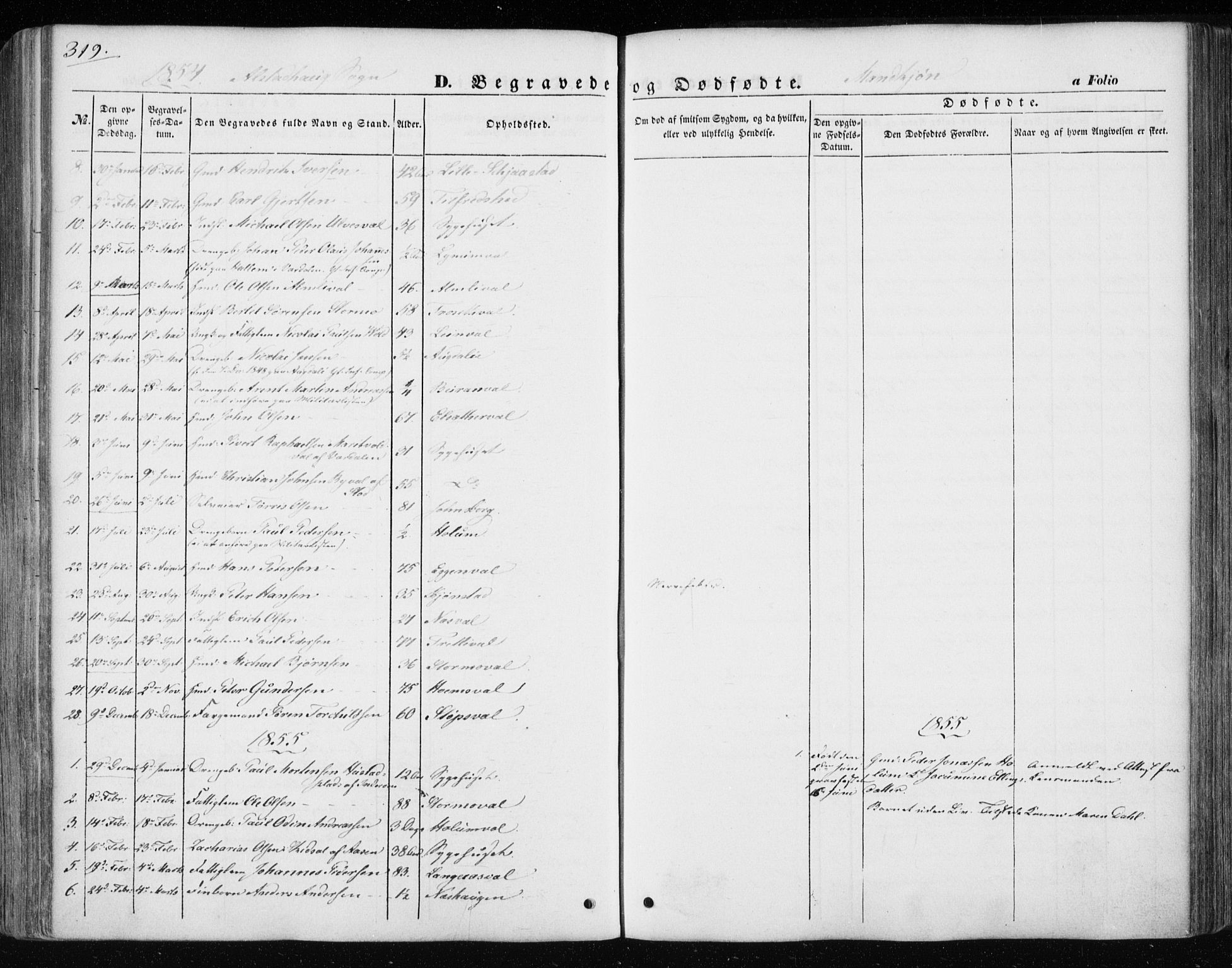 Ministerialprotokoller, klokkerbøker og fødselsregistre - Nord-Trøndelag, SAT/A-1458/717/L0154: Parish register (official) no. 717A07 /1, 1850-1862, p. 319