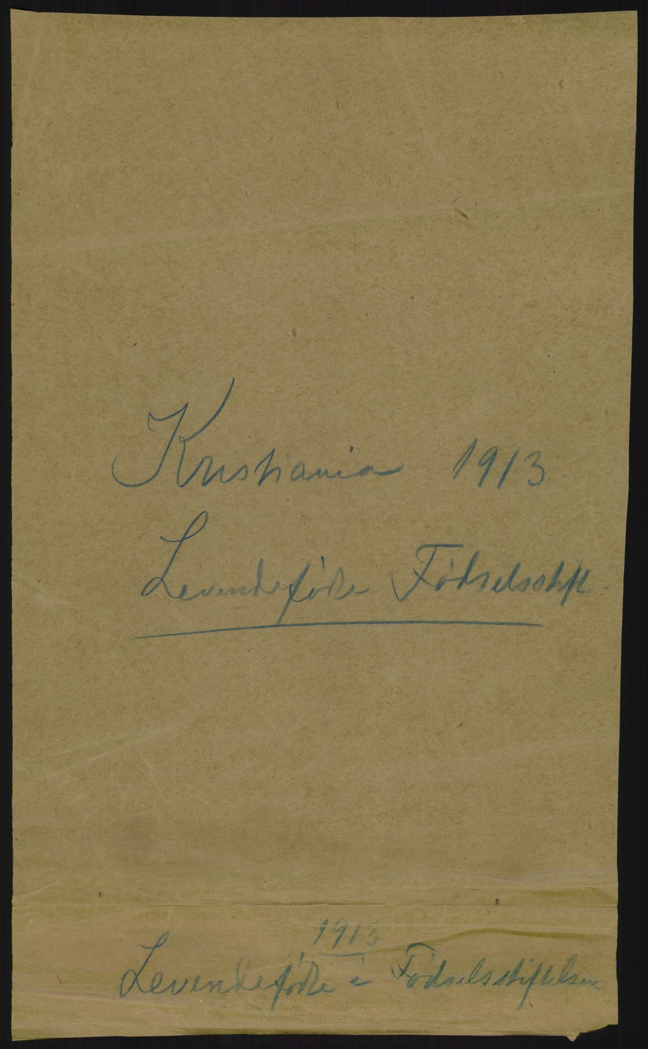 Statistisk sentralbyrå, Sosiodemografiske emner, Befolkning, AV/RA-S-2228/D/Df/Dfb/Dfbc/L0007: Kristiania: Levendefødte menn og kvinner., 1913, p. 1