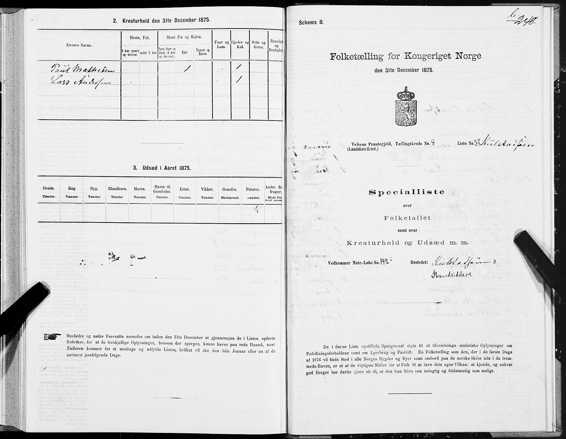 SAT, 1875 census for 1824L Vefsn/Vefsn, 1875, p. 2248