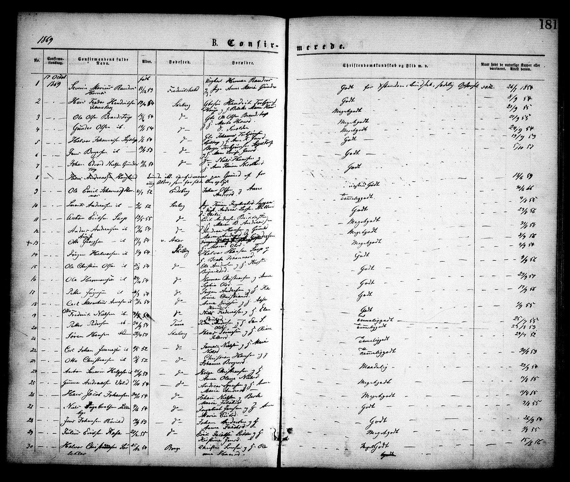 Skjeberg prestekontor Kirkebøker, SAO/A-10923/F/Fa/L0008: Parish register (official) no. I 8, 1869-1885, p. 181