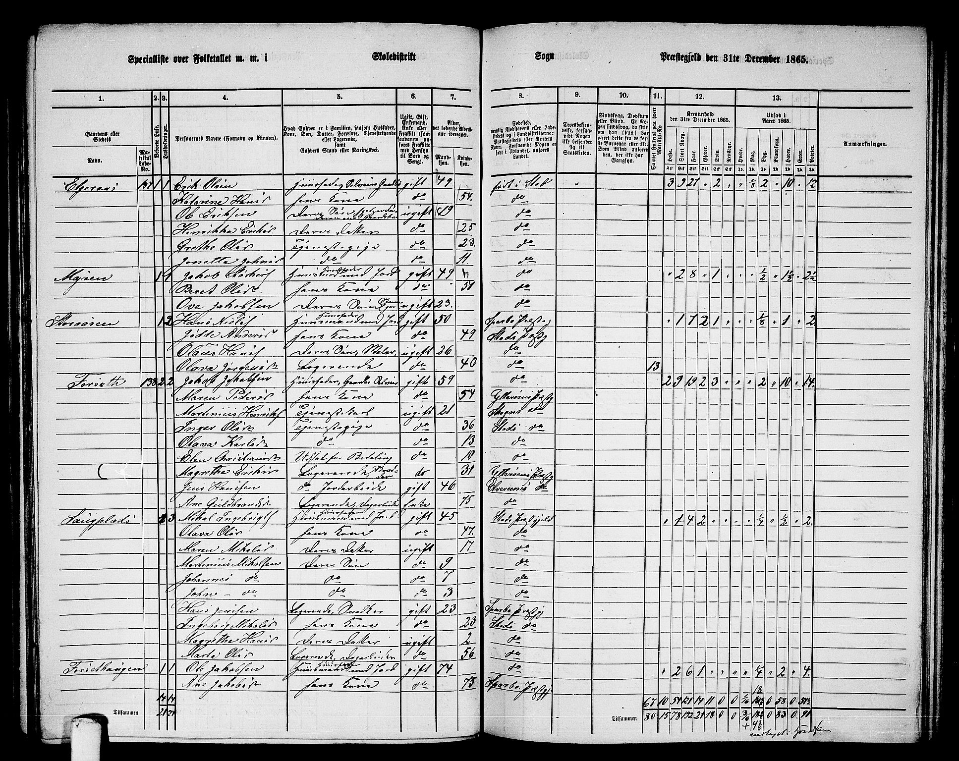 RA, 1865 census for Stod, 1865, p. 107