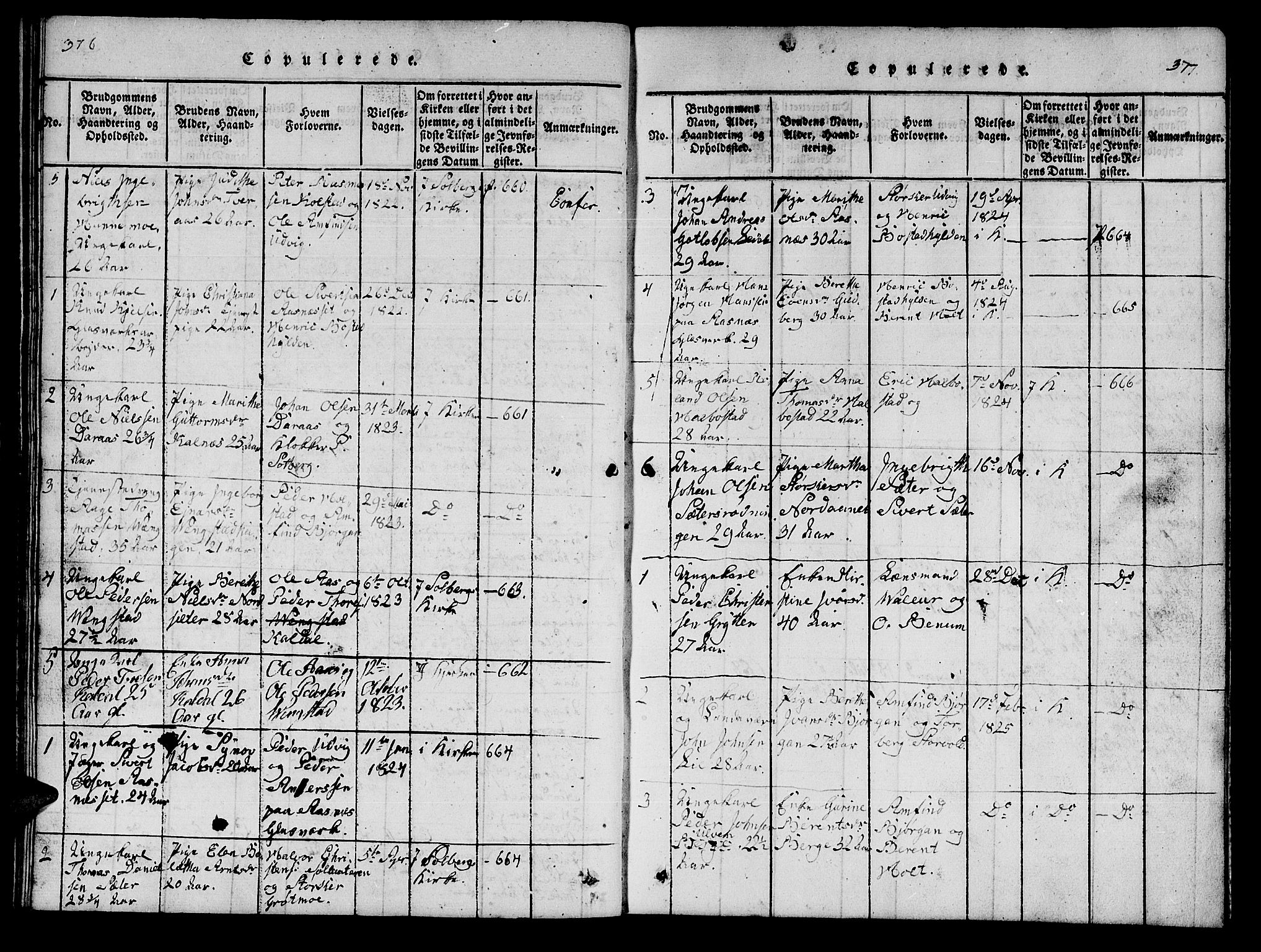 Ministerialprotokoller, klokkerbøker og fødselsregistre - Nord-Trøndelag, SAT/A-1458/742/L0411: Parish register (copy) no. 742C02, 1817-1825, p. 376-377