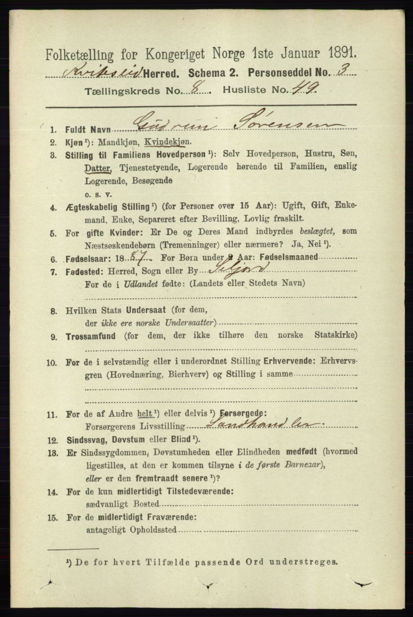 RA, 1891 census for 0829 Kviteseid, 1891, p. 1907