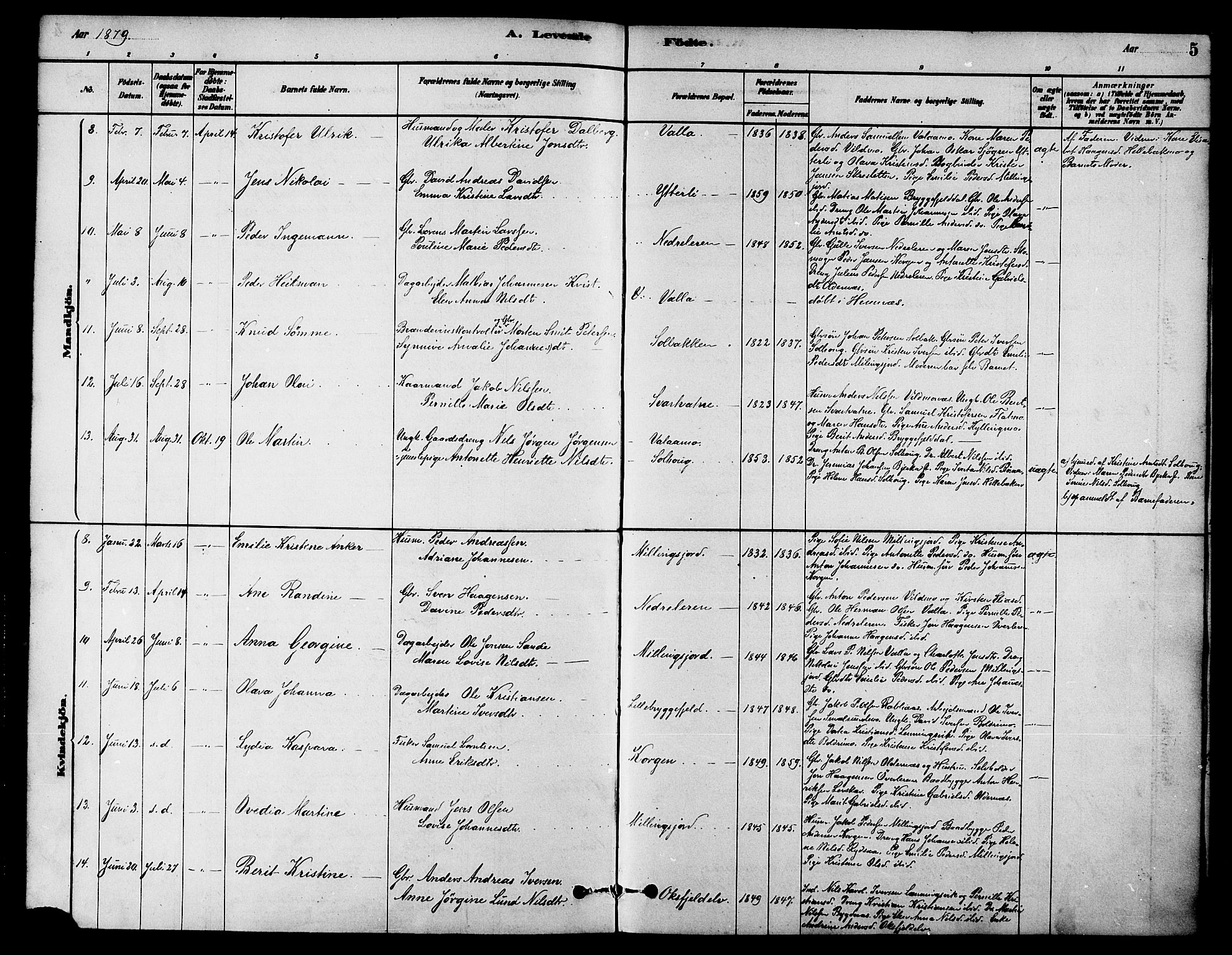 Ministerialprotokoller, klokkerbøker og fødselsregistre - Nordland, AV/SAT-A-1459/826/L0379: Parish register (official) no. 826A02, 1878-1895, p. 5