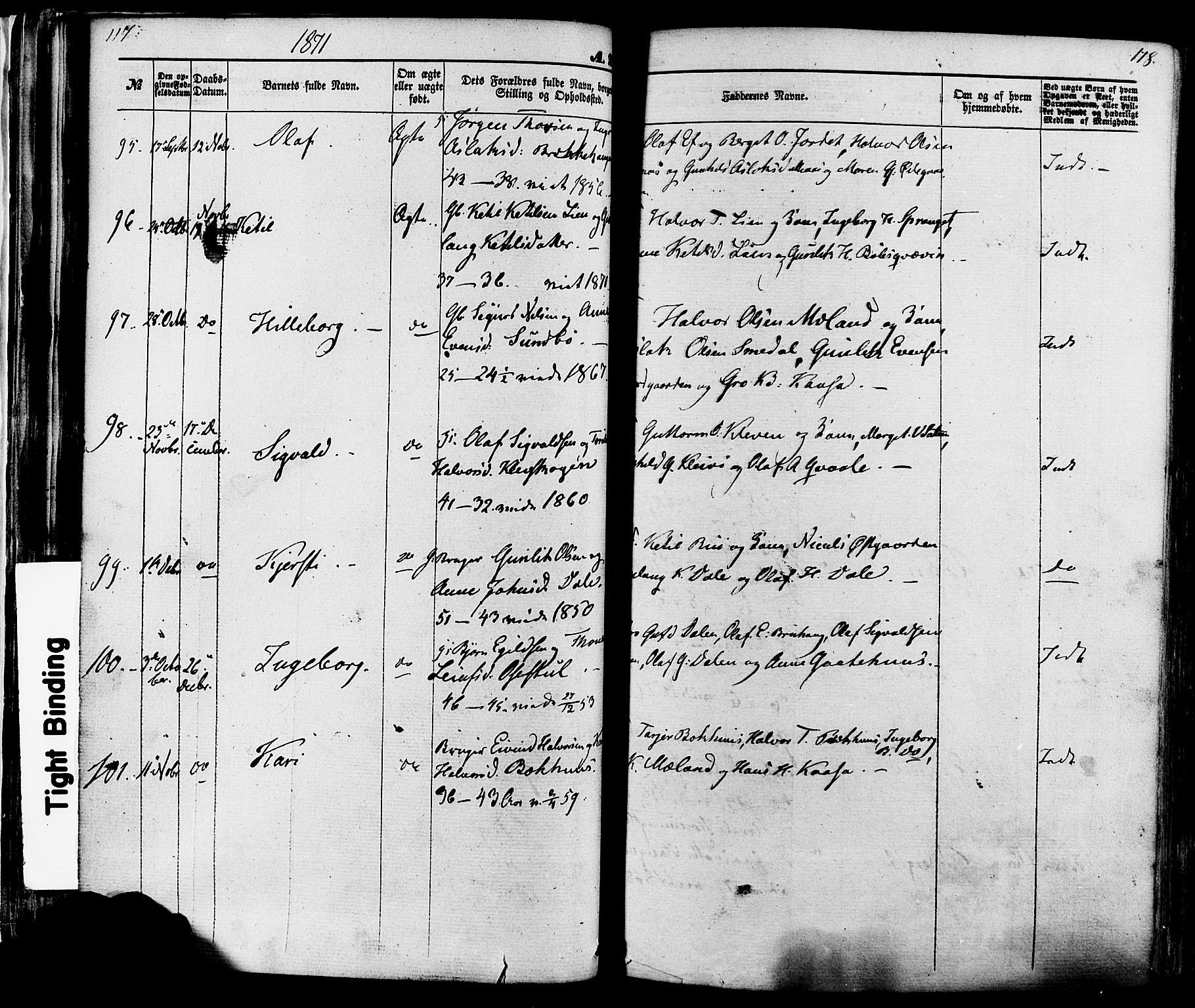 Seljord kirkebøker, SAKO/A-20/F/Fa/L0013: Parish register (official) no. I 13, 1866-1876, p. 117-118