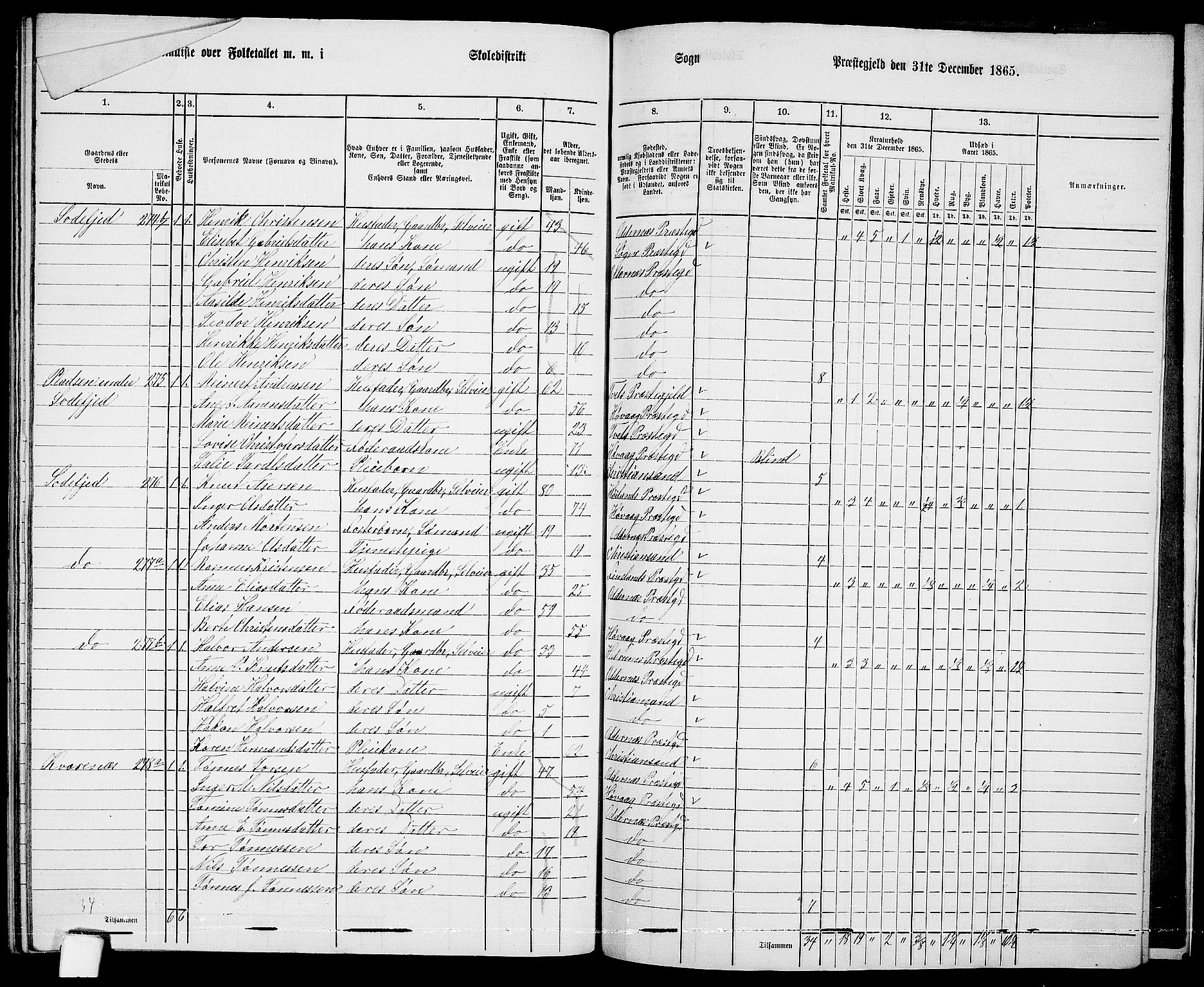 RA, 1865 census for Oddernes, 1865, p. 150