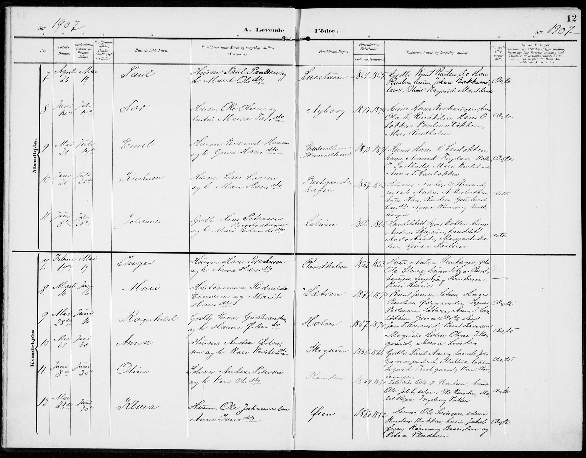 Sel prestekontor, SAH/PREST-074/H/Ha/Haa/L0001: Parish register (official) no. 1, 1905-1922, p. 12