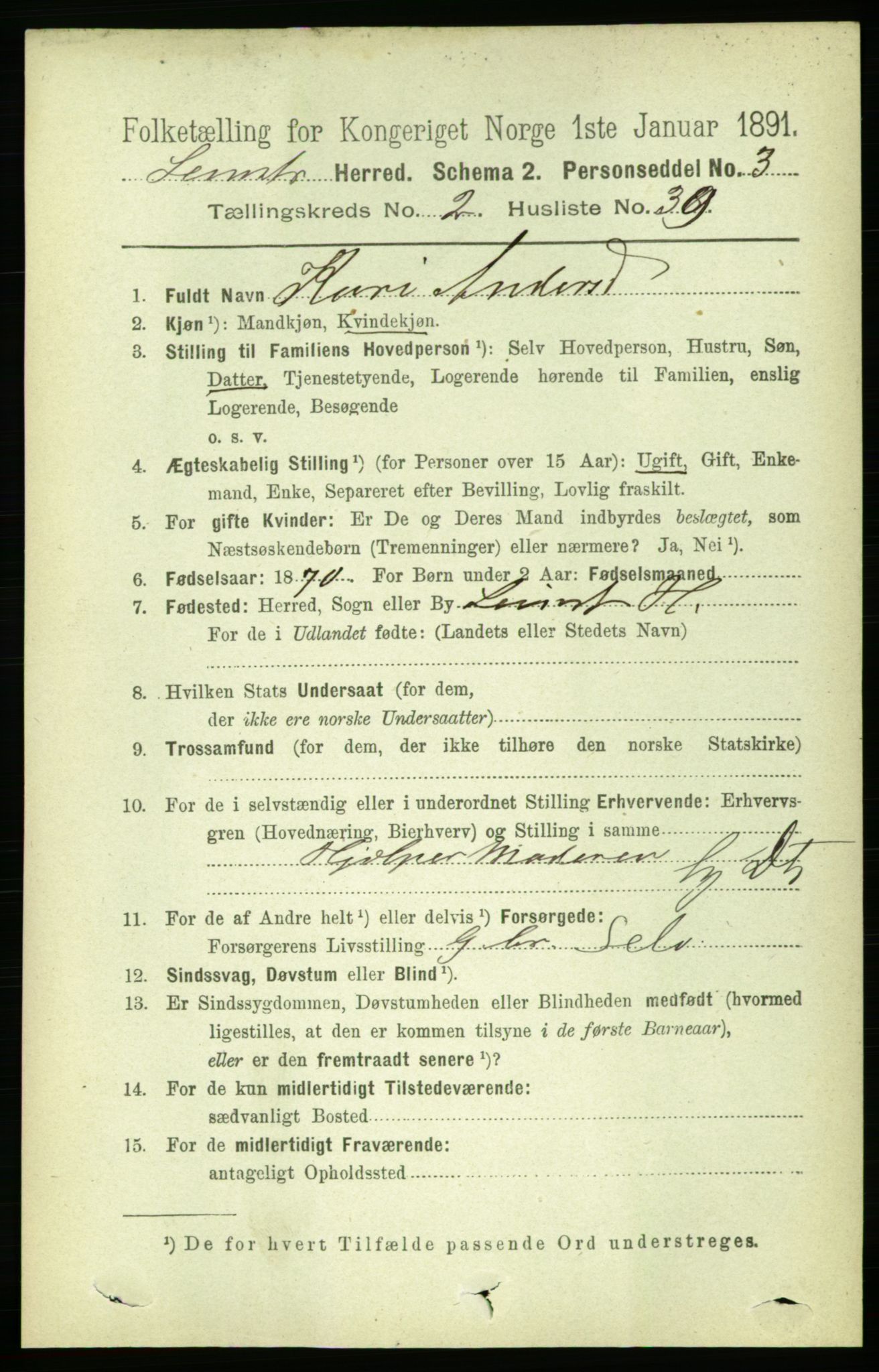 RA, 1891 census for 1654 Leinstrand, 1891, p. 738