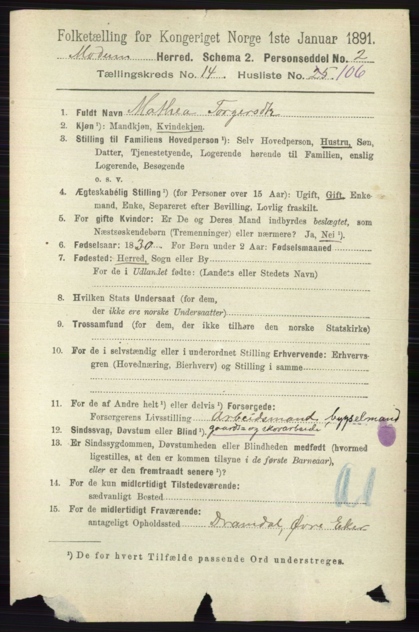 RA, 1891 census for 0623 Modum, 1891, p. 6110