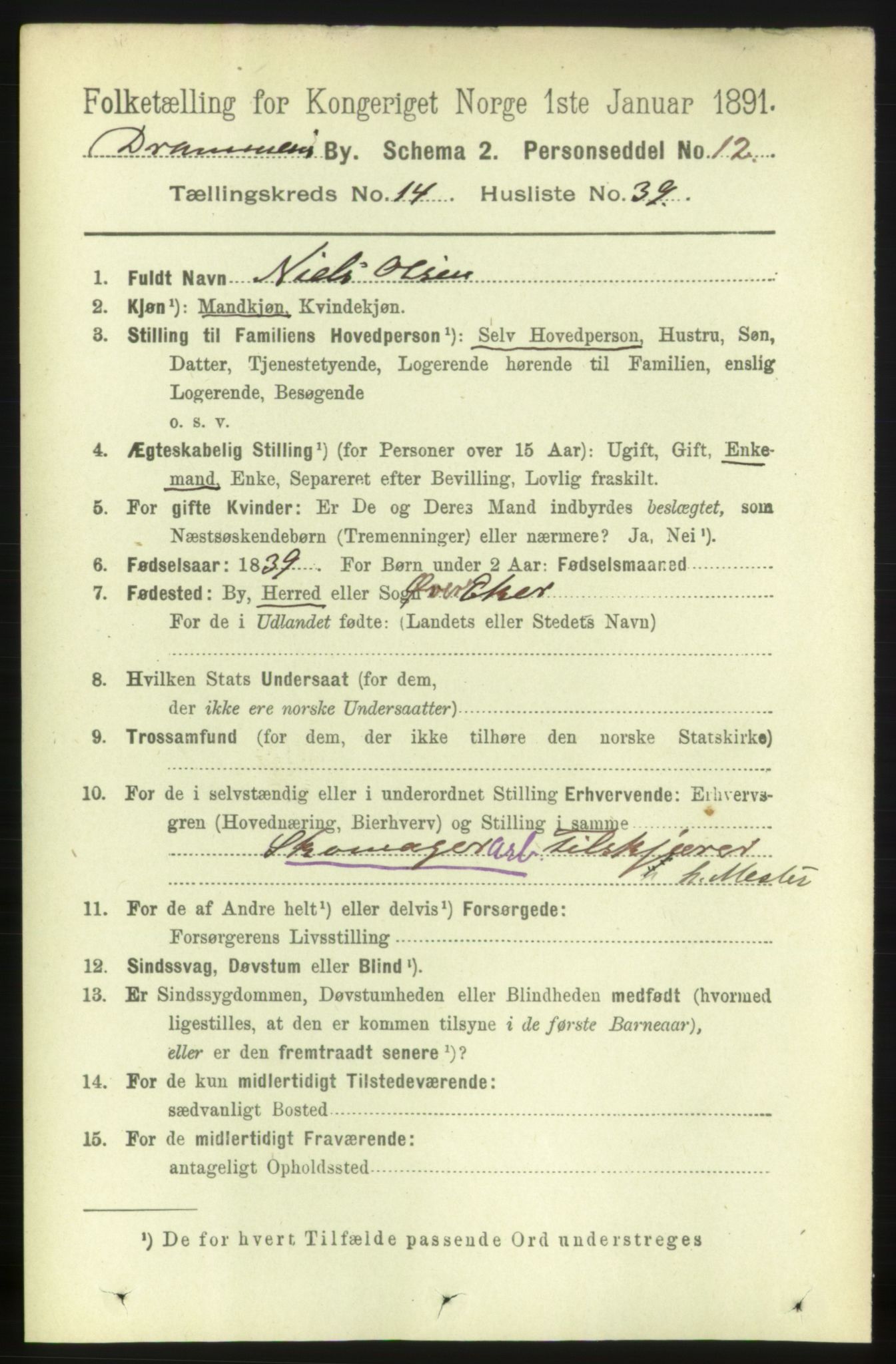 RA, 1891 census for 0602 Drammen, 1891, p. 10480