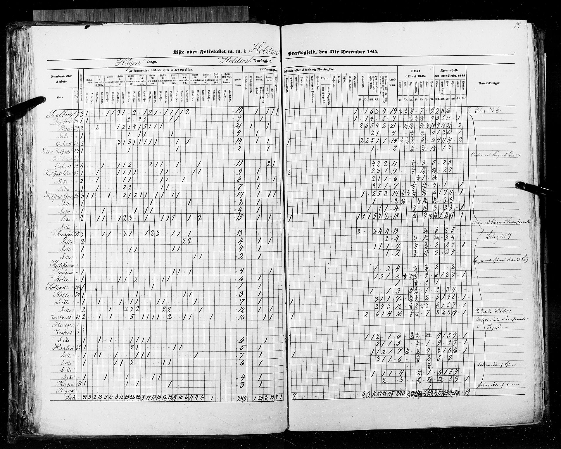 RA, Census 1845, vol. 5: Bratsberg amt og Nedenes og Råbyggelaget amt, 1845, p. 87