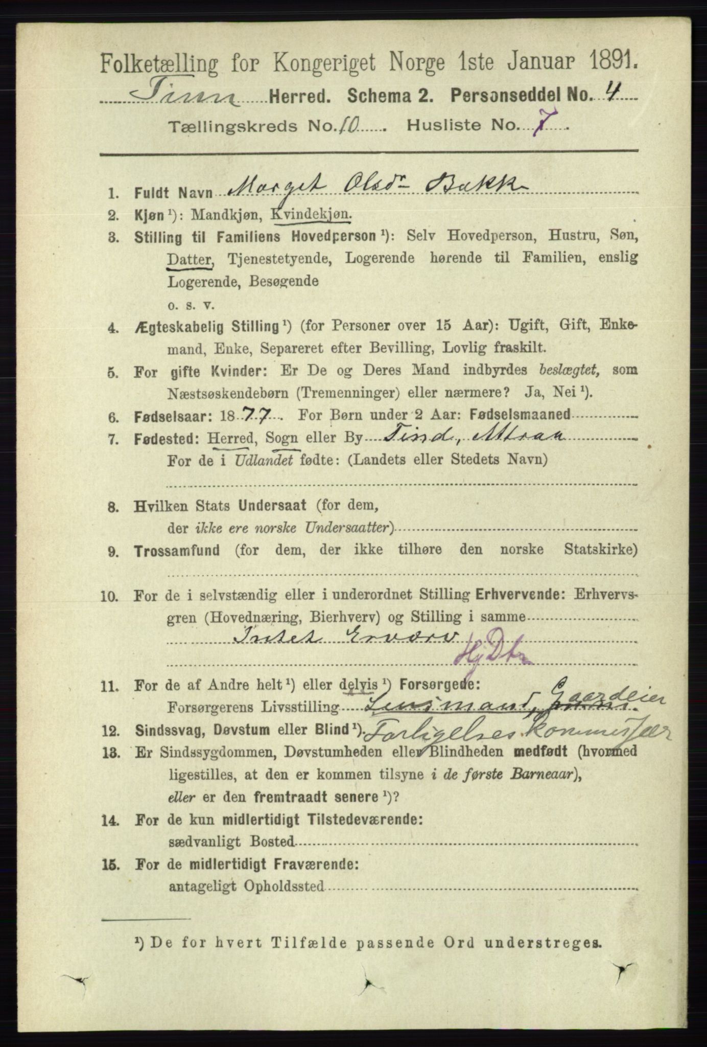 RA, 1891 census for 0826 Tinn, 1891, p. 2010