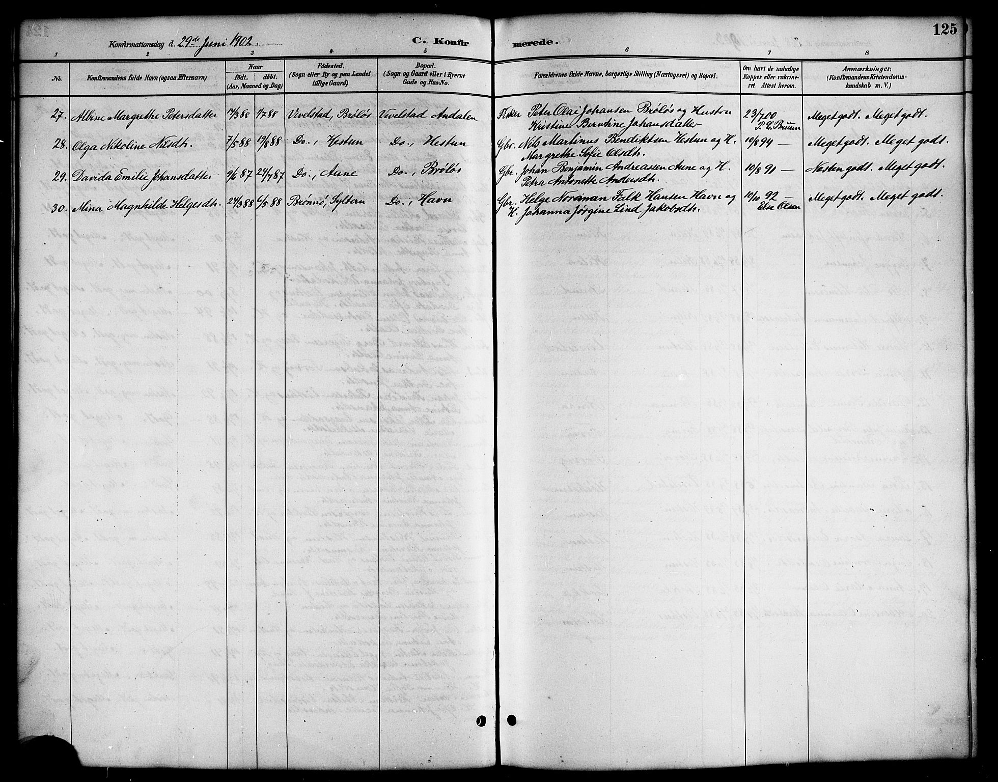 Ministerialprotokoller, klokkerbøker og fødselsregistre - Nordland, AV/SAT-A-1459/819/L0277: Parish register (copy) no. 819C03, 1888-1917, p. 125