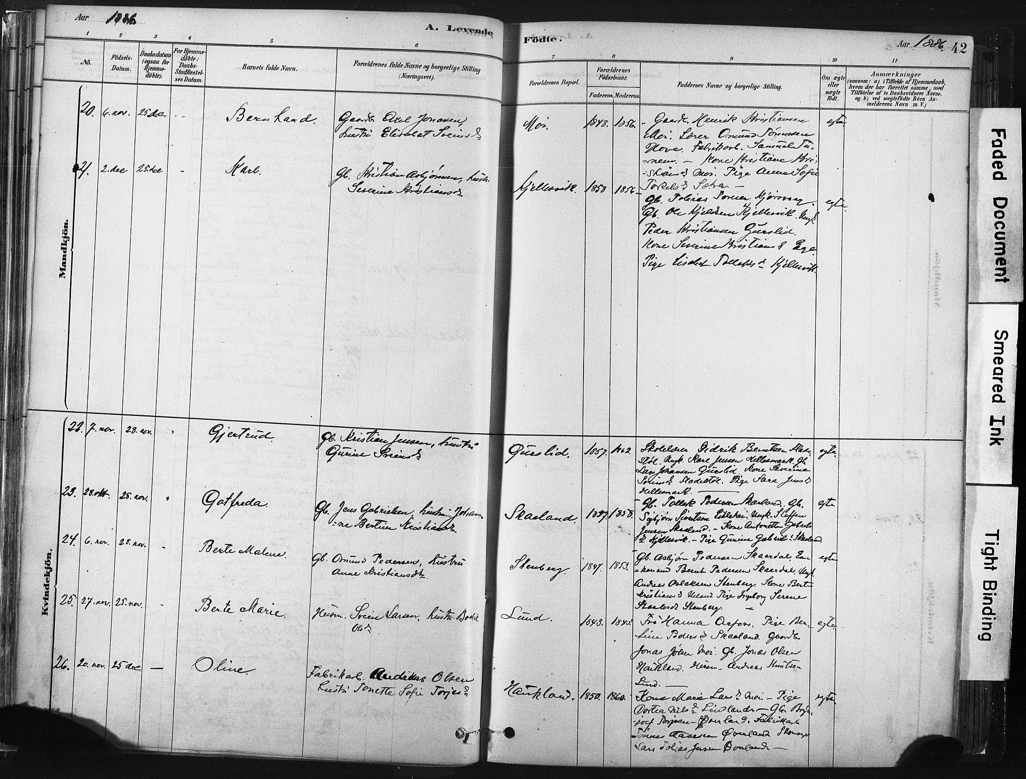 Lund sokneprestkontor, AV/SAST-A-101809/S06/L0011: Parish register (official) no. A 10, 1877-1904, p. 42