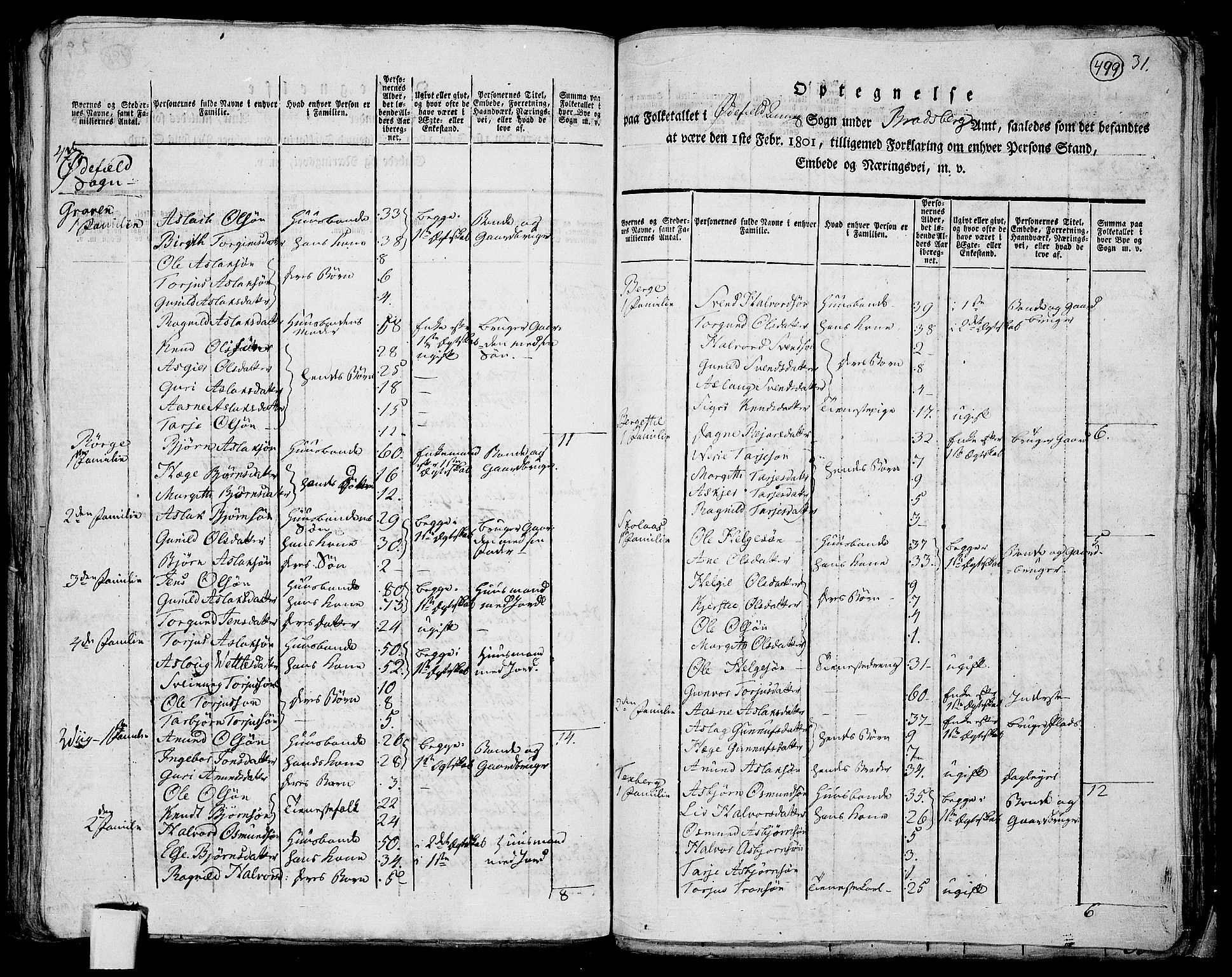 RA, 1801 census for 0833P Lårdal, 1801, p. 498b-499a