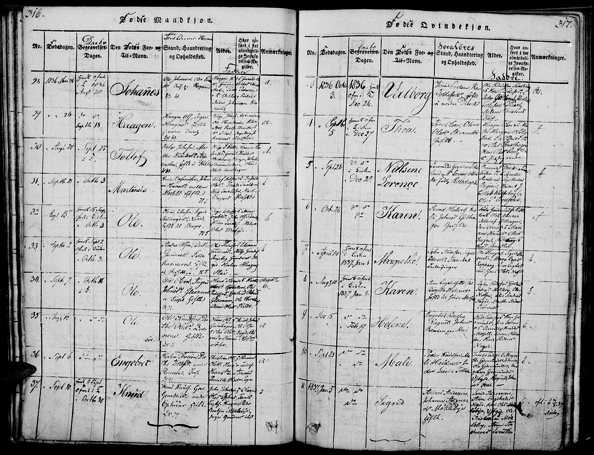 Åmot prestekontor, Hedmark, SAH/PREST-056/H/Ha/Haa/L0005: Parish register (official) no. 5, 1815-1841, p. 316-317