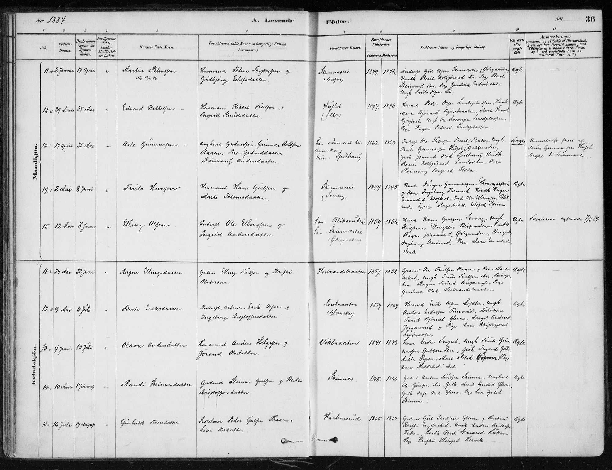 Krødsherad kirkebøker, SAKO/A-19/F/Fa/L0005: Parish register (official) no. 5, 1879-1888, p. 36