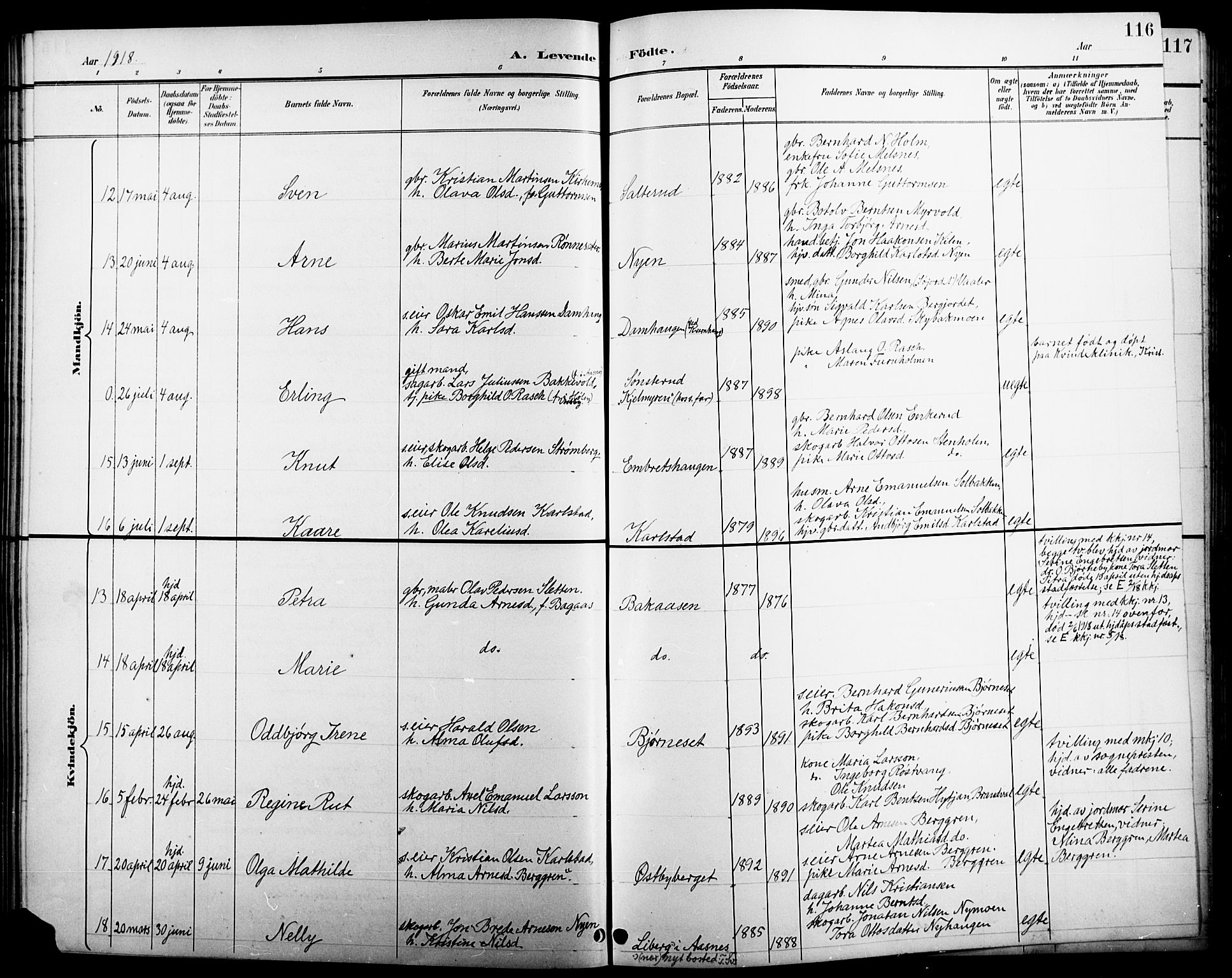 Åsnes prestekontor, AV/SAH-PREST-042/H/Ha/Hab/L0005: Parish register (copy) no. 5, 1895-1920, p. 116