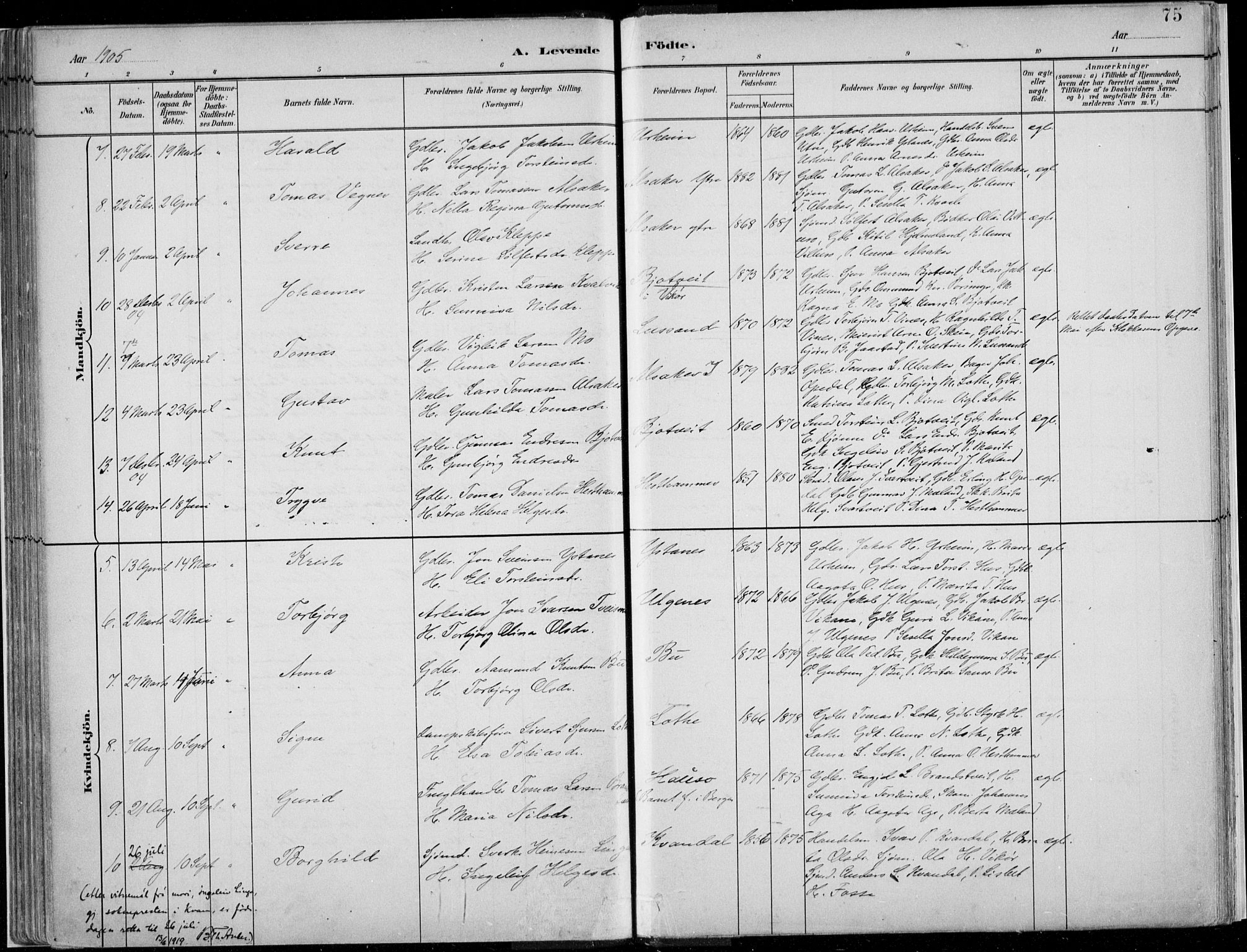 Ullensvang sokneprestembete, SAB/A-78701/H/Haa: Parish register (official) no. E  1, 1882-1921, p. 75