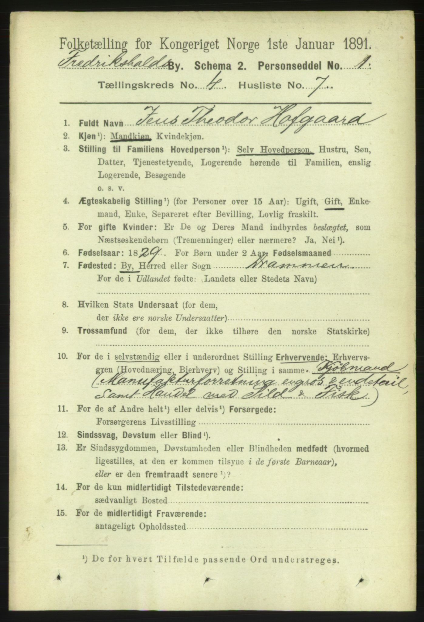 RA, 1891 census for 0101 Fredrikshald, 1891, p. 3797