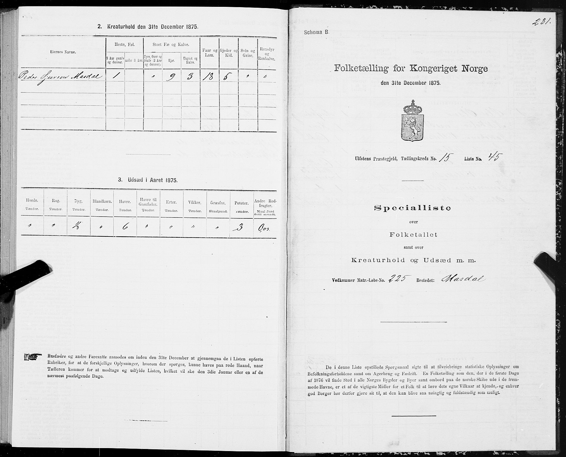 SAT, 1875 census for 1516P Ulstein, 1875, p. 5231