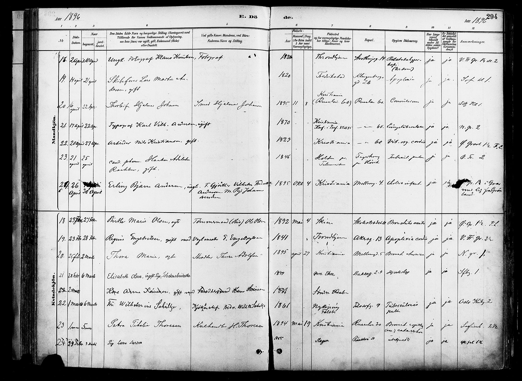 Johannes prestekontor Kirkebøker, AV/SAO-A-10852/F/Fa/L0004: Parish register (official) no. 4, 1883-1907, p. 294