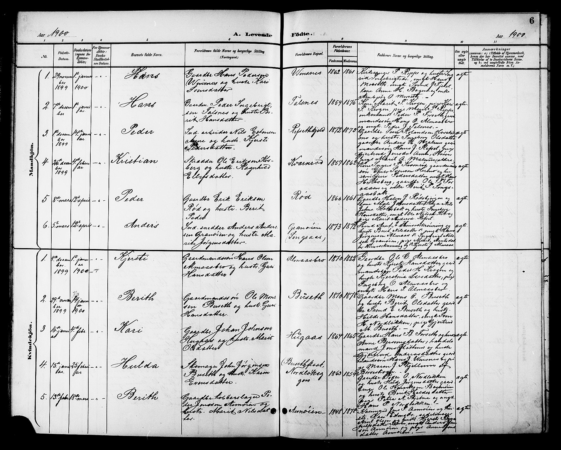 Ministerialprotokoller, klokkerbøker og fødselsregistre - Sør-Trøndelag, SAT/A-1456/688/L1029: Parish register (copy) no. 688C04, 1899-1915, p. 6