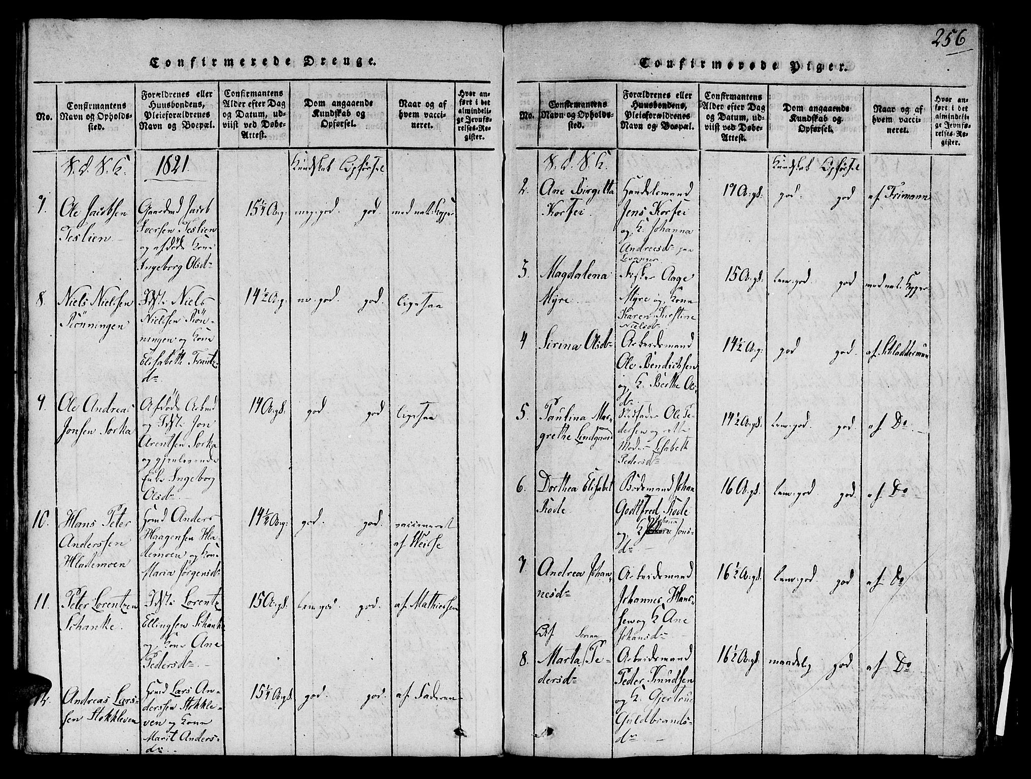 Ministerialprotokoller, klokkerbøker og fødselsregistre - Sør-Trøndelag, AV/SAT-A-1456/606/L0283: Parish register (official) no. 606A03 /1, 1818-1823, p. 256