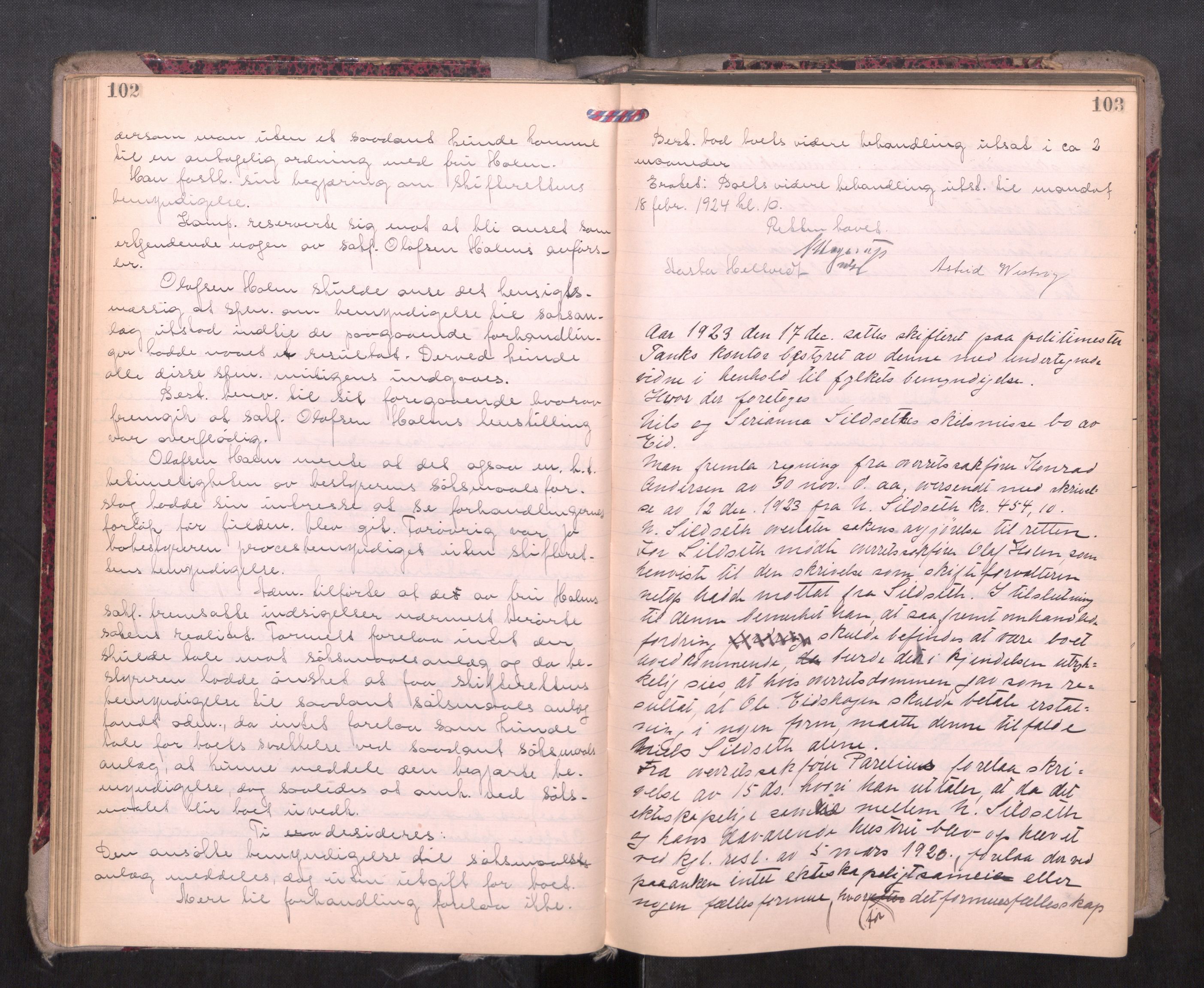 Romsdal sorenskriveri, AV/SAT-A-4149/1/3/3B/L0010: Skiftebehandlingsprotokoll, 1923-1925, p. 102-103