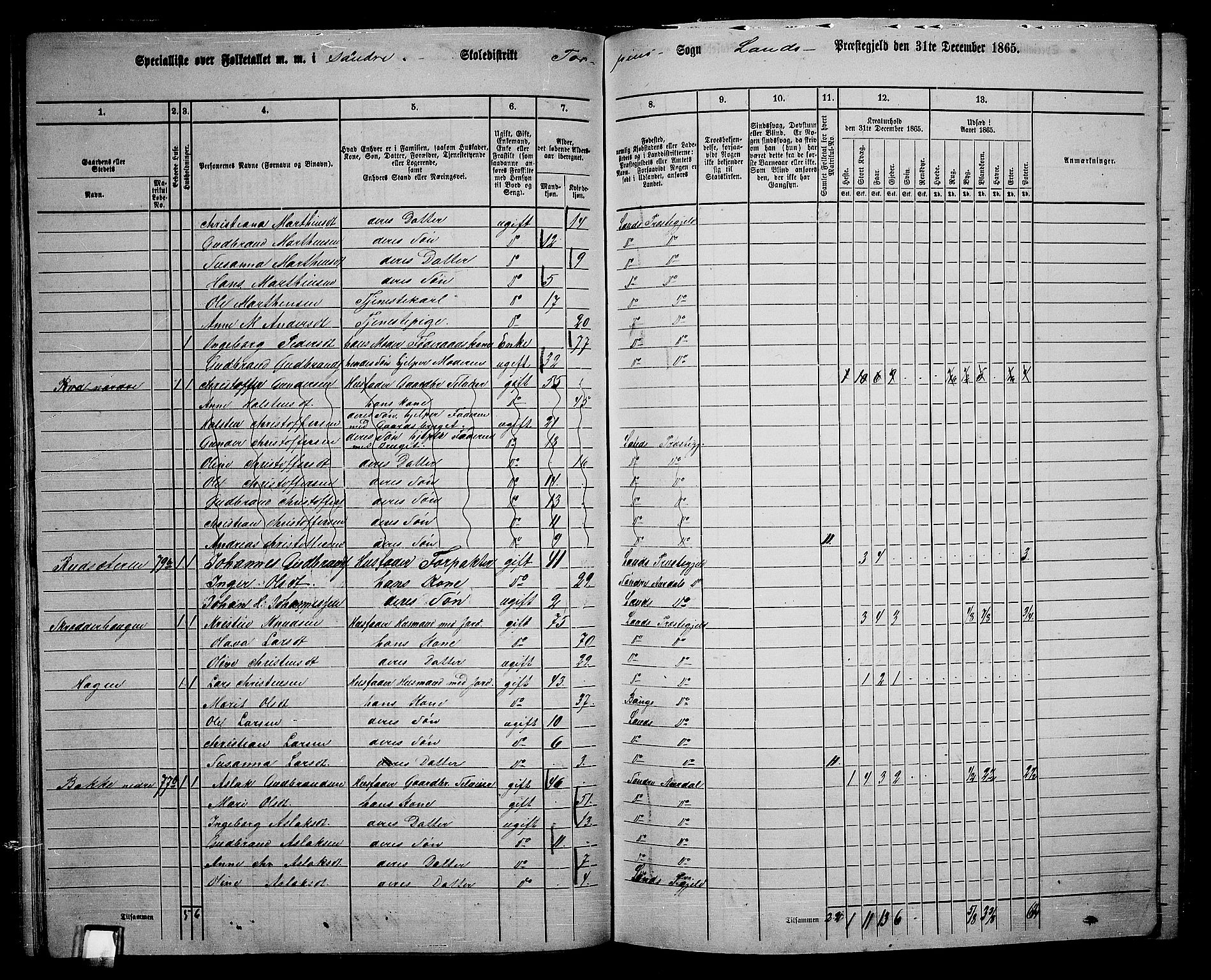 RA, 1865 census for Land, 1865, p. 83