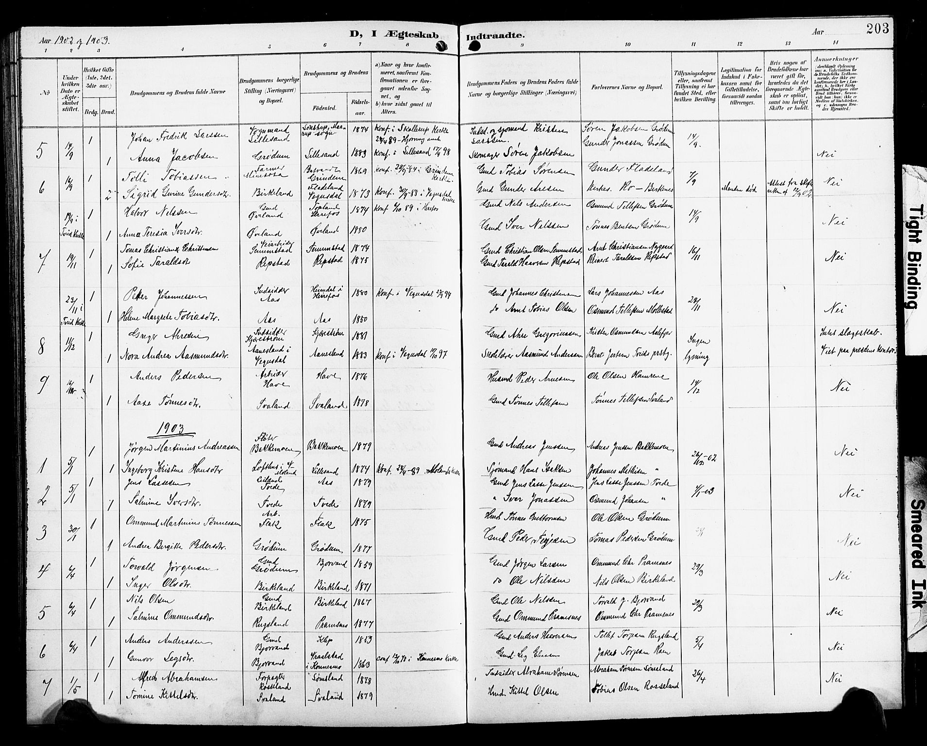 Birkenes sokneprestkontor, SAK/1111-0004/F/Fb/L0004: Parish register (copy) no. B 4, 1893-1930, p. 203