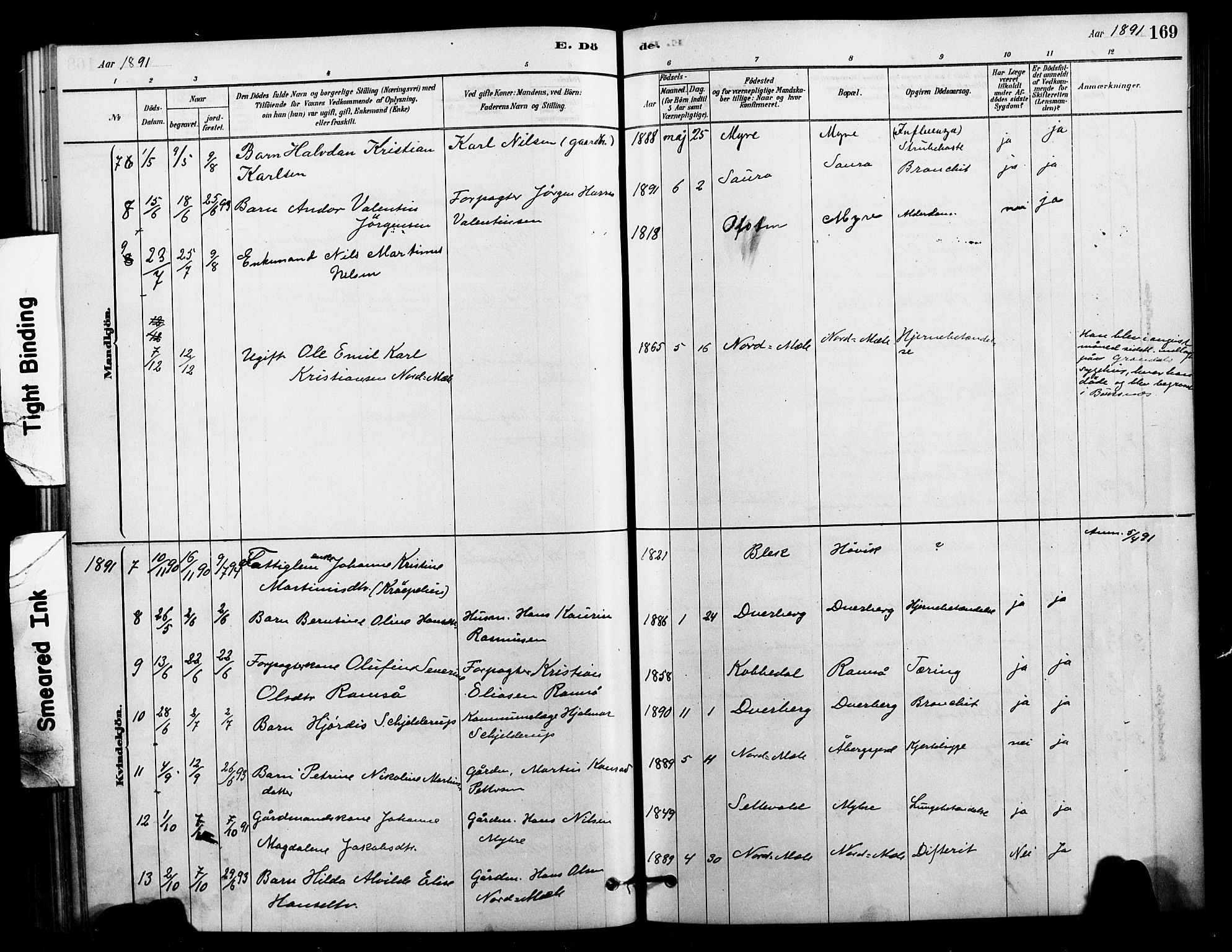 Ministerialprotokoller, klokkerbøker og fødselsregistre - Nordland, AV/SAT-A-1459/897/L1399: Parish register (official) no. 897C06, 1881-1896, p. 169