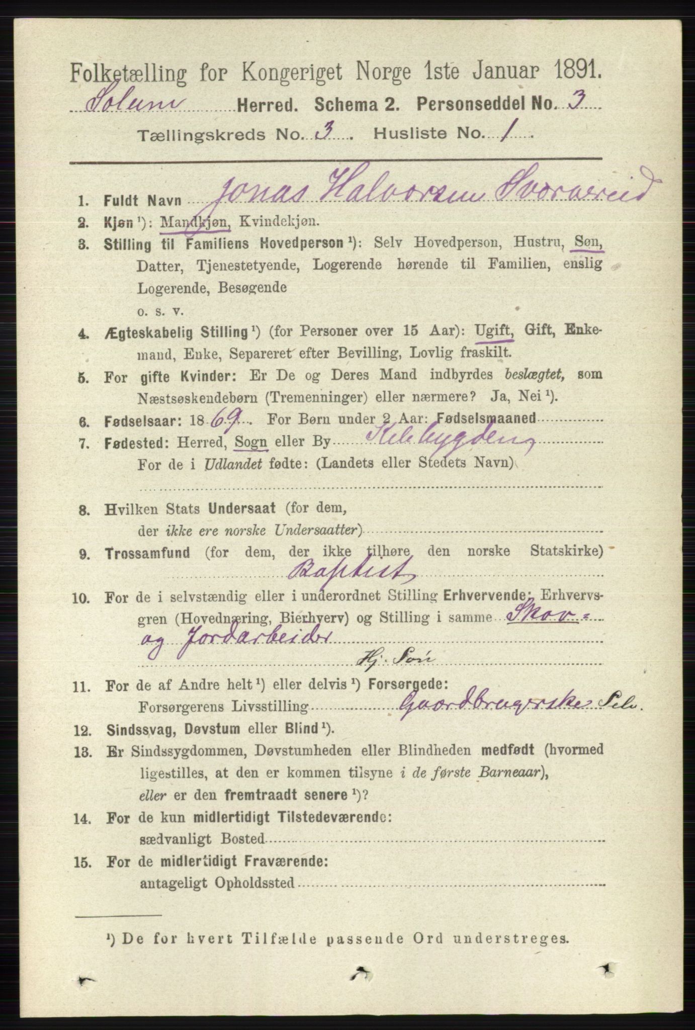 RA, 1891 census for 0818 Solum, 1891, p. 350