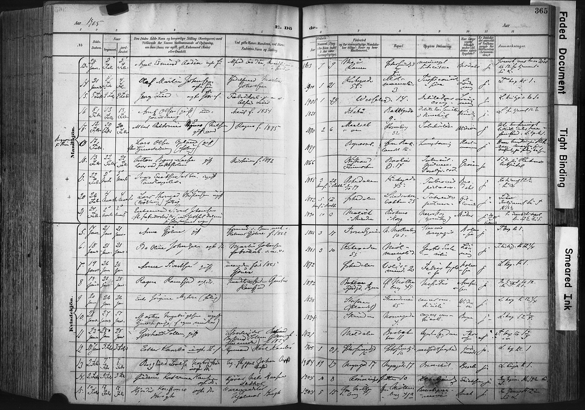 Ministerialprotokoller, klokkerbøker og fødselsregistre - Sør-Trøndelag, AV/SAT-A-1456/604/L0201: Parish register (official) no. 604A21, 1901-1911, p. 365