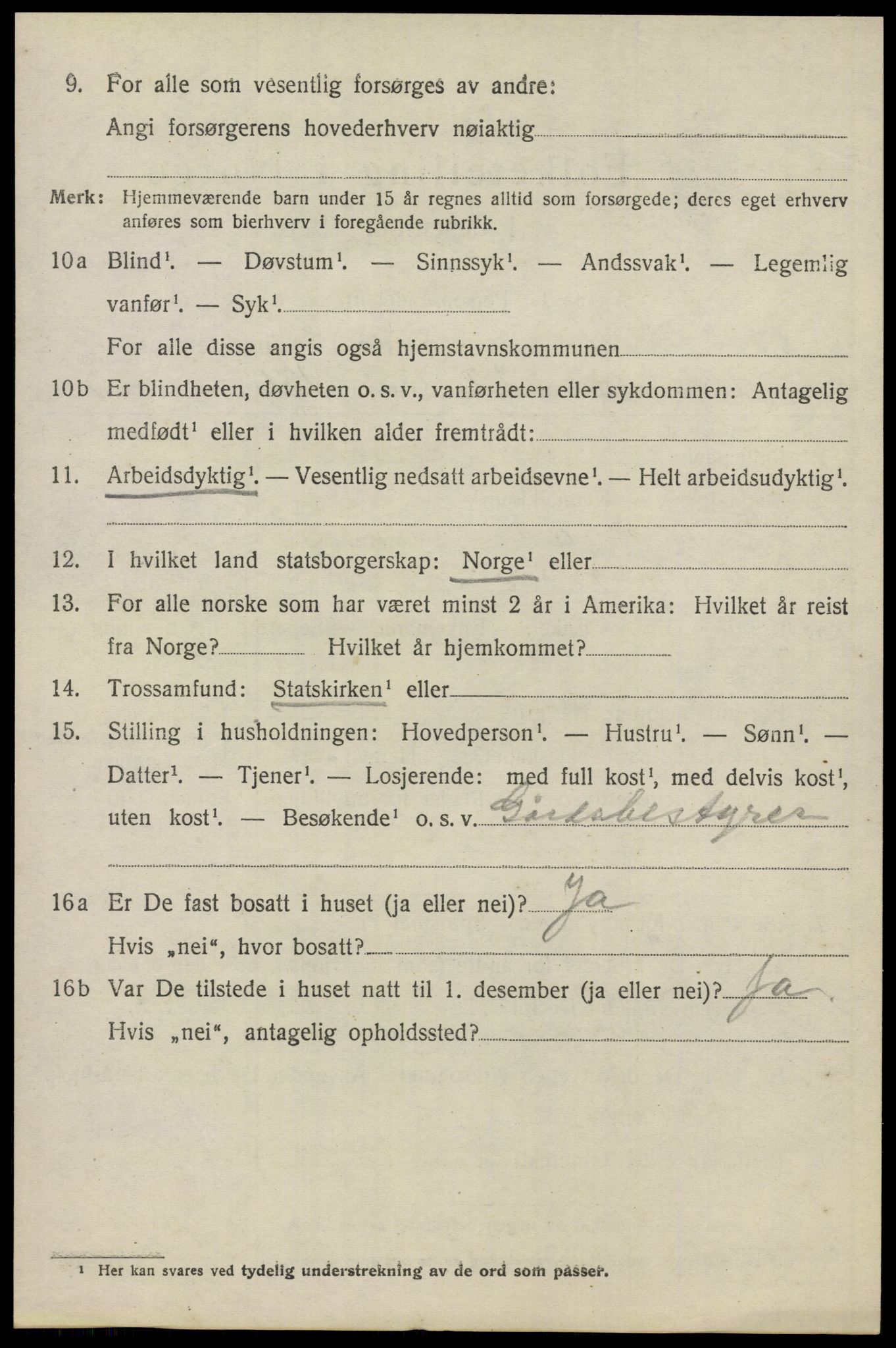 SAO, 1920 census for Nes, 1920, p. 7849