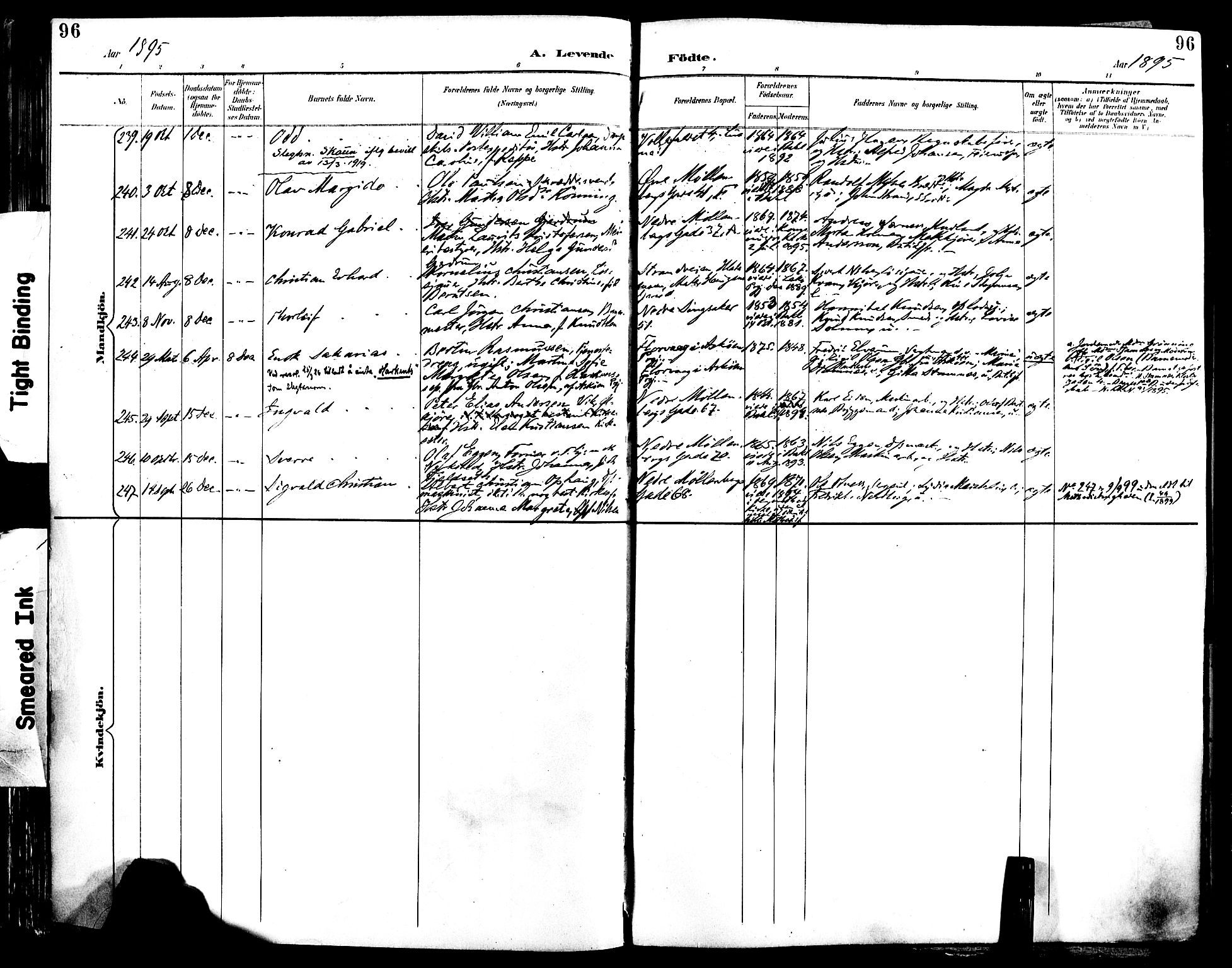 Ministerialprotokoller, klokkerbøker og fødselsregistre - Sør-Trøndelag, SAT/A-1456/604/L0197: Parish register (official) no. 604A18, 1893-1900, p. 96