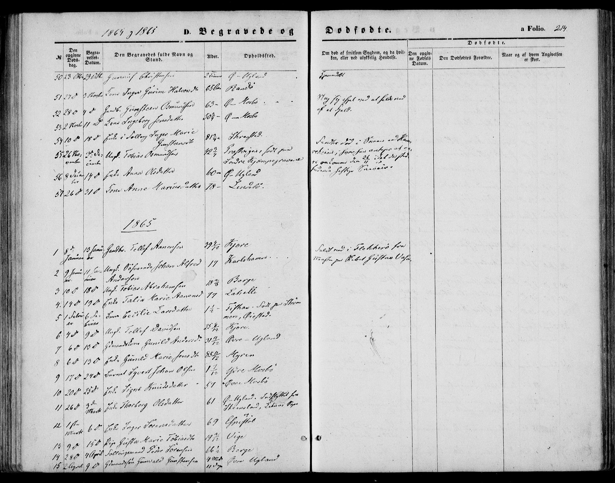 Oddernes sokneprestkontor, AV/SAK-1111-0033/F/Fa/Faa/L0008: Parish register (official) no. A 8, 1864-1880, p. 214